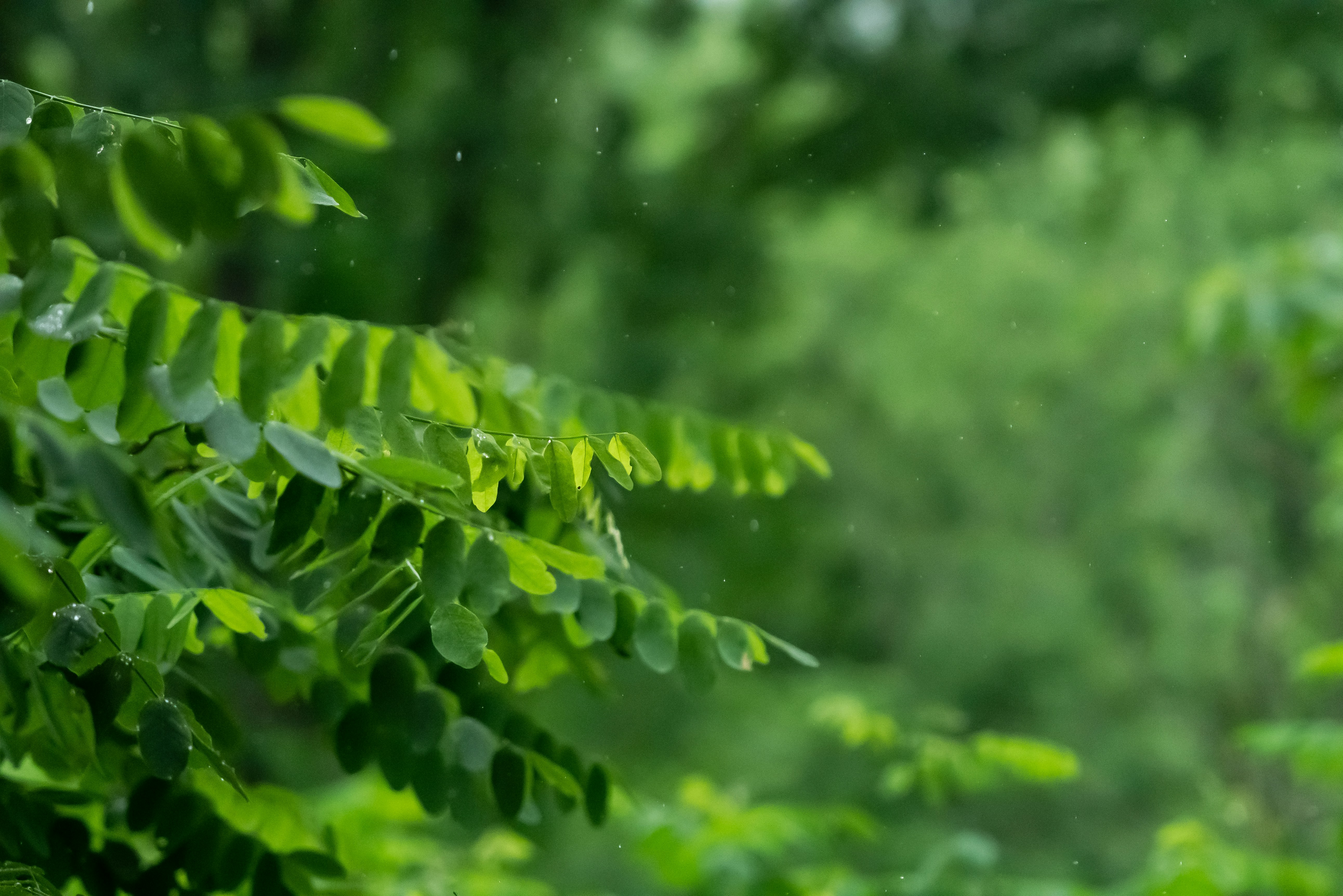 Photo by jaychayproductions