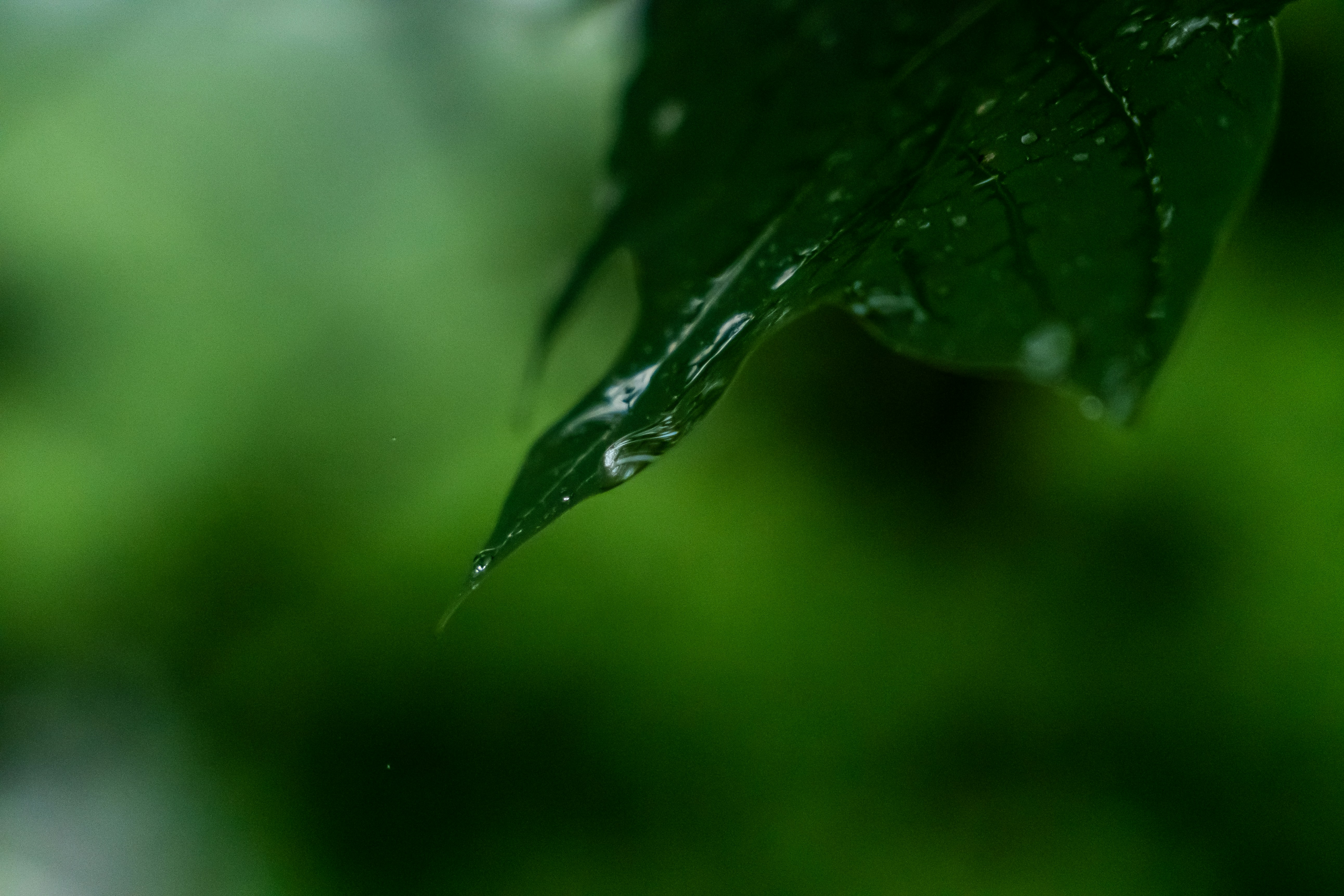 Photo by jaychayproductions