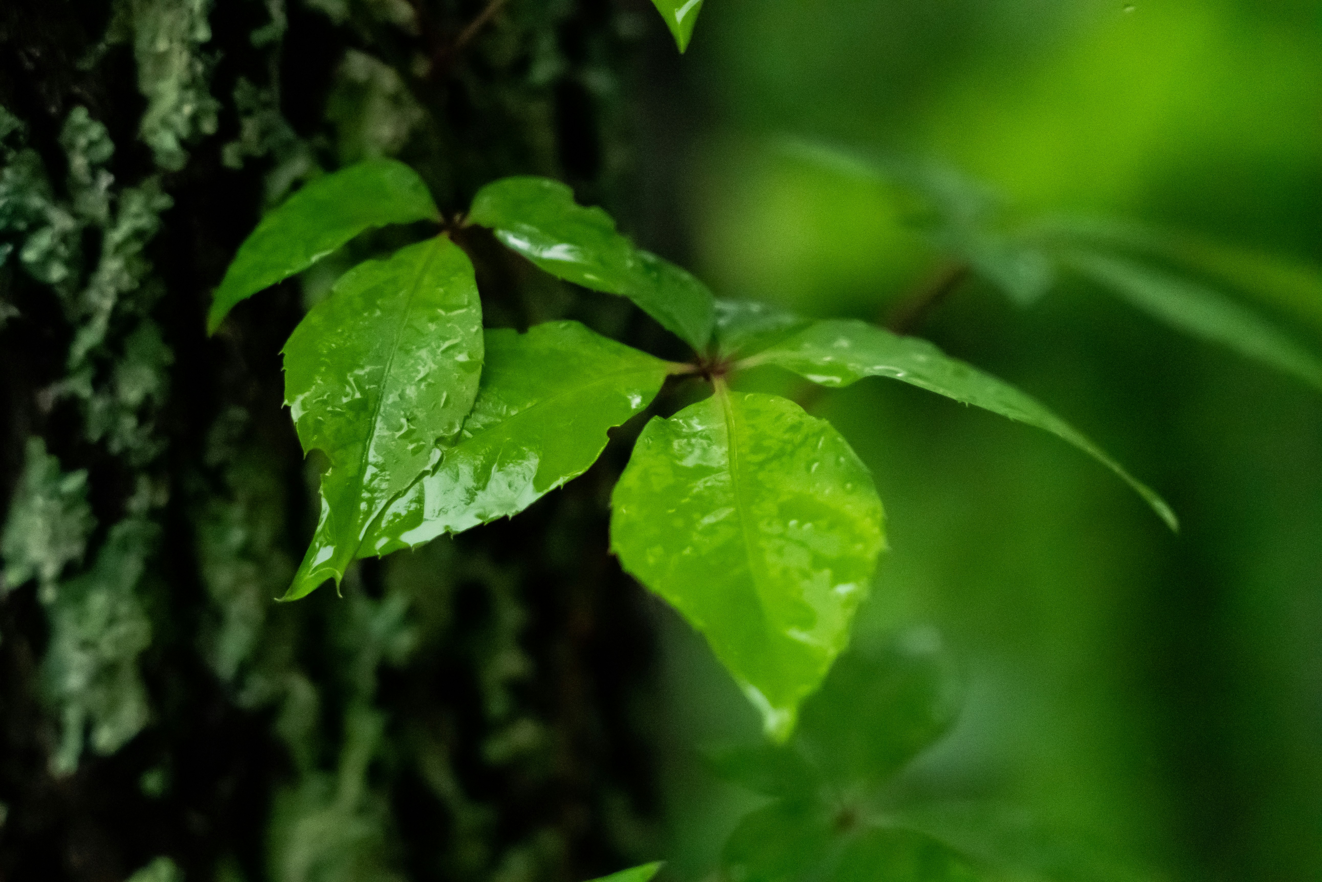 Photo by jaychayproductions