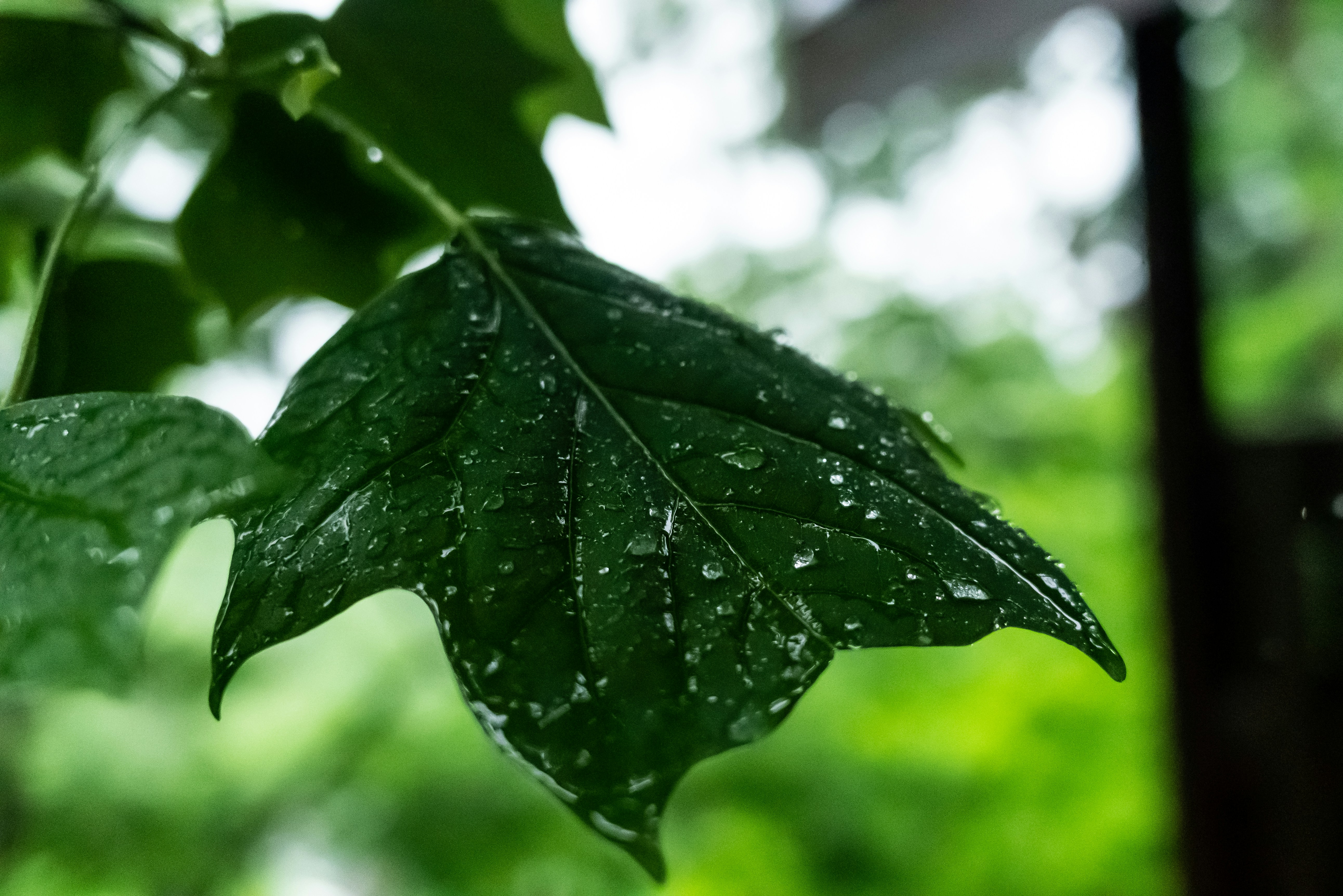 Photo by jaychayproductions