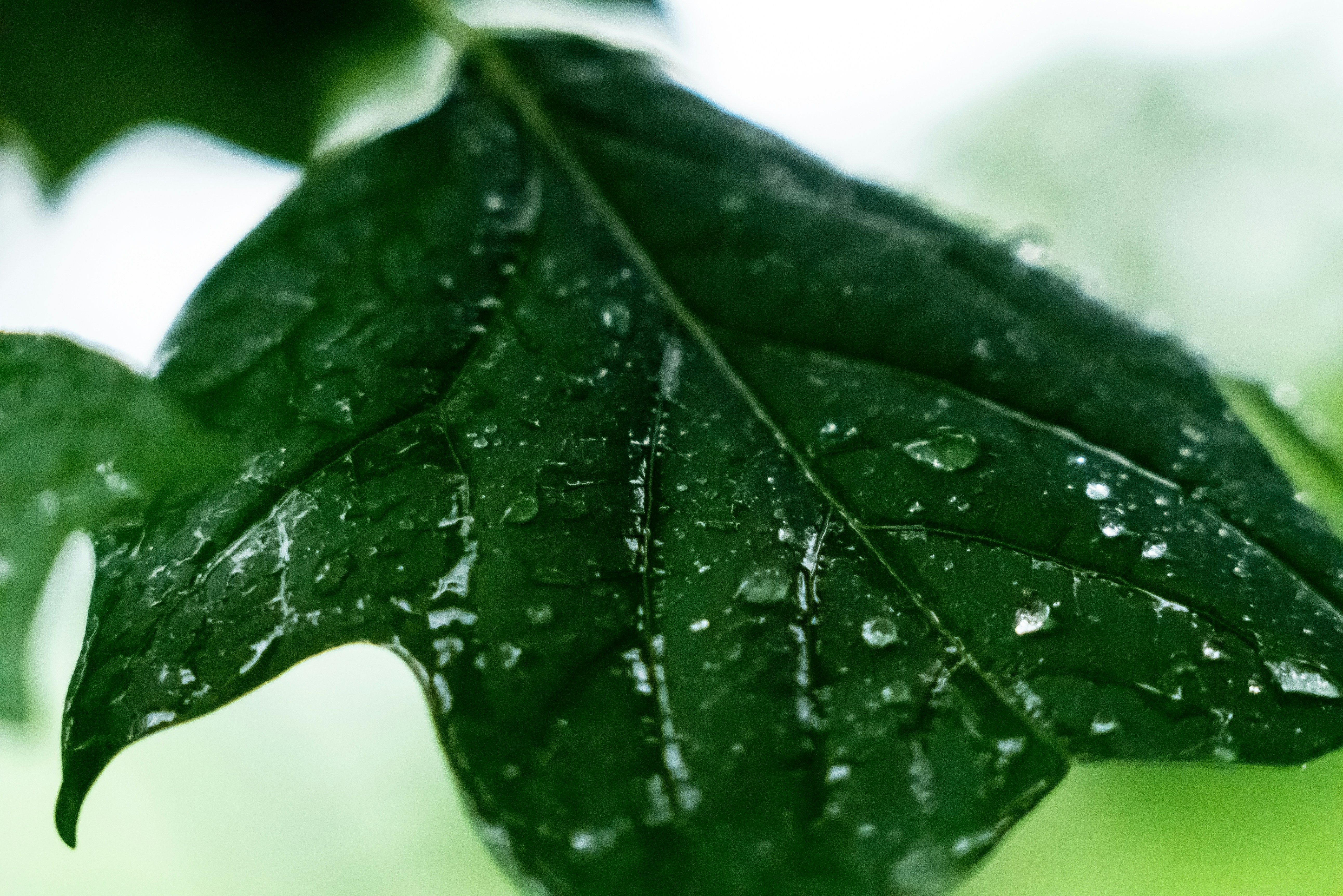 Photo by jaychayproductions