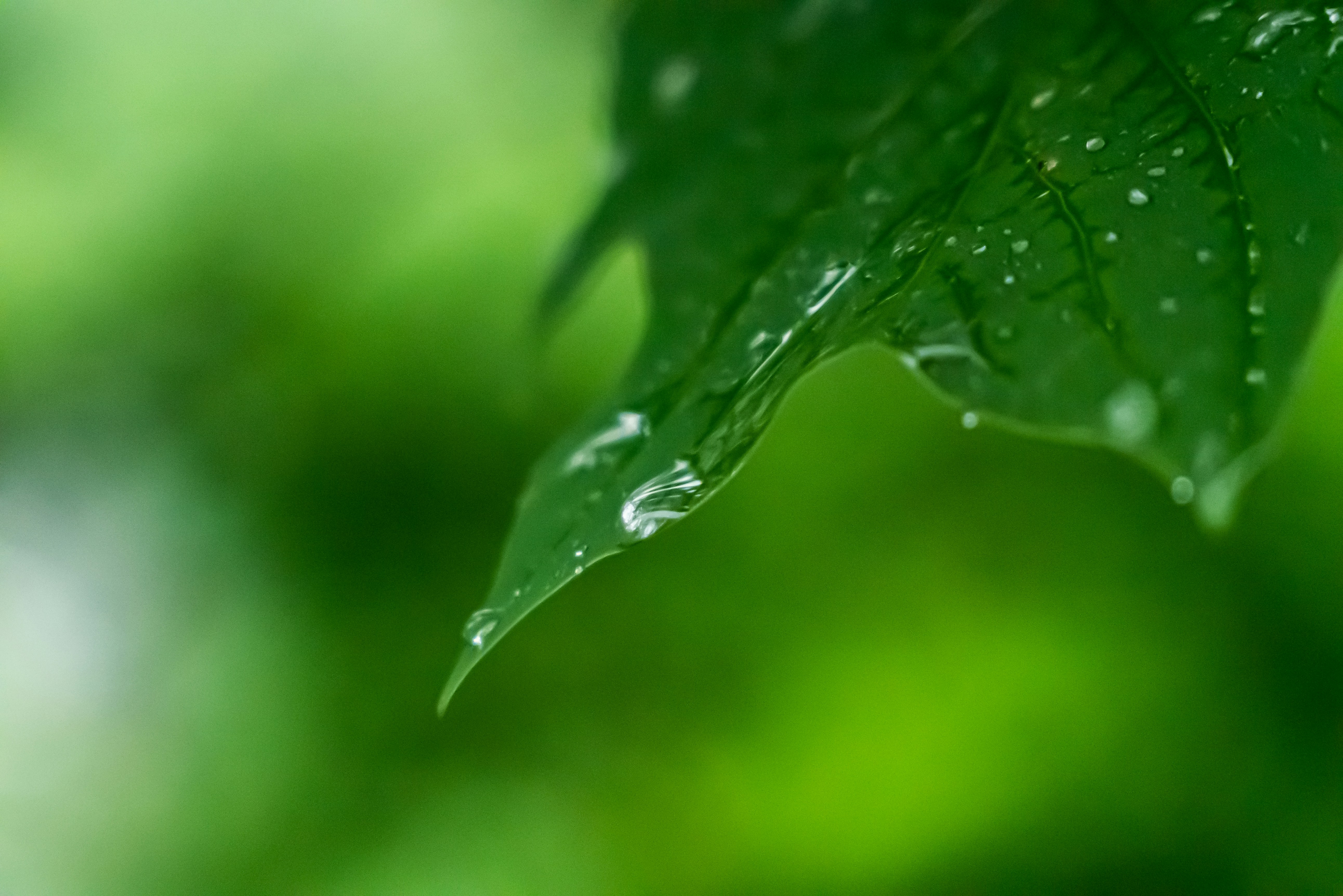 Photo by jaychayproductions