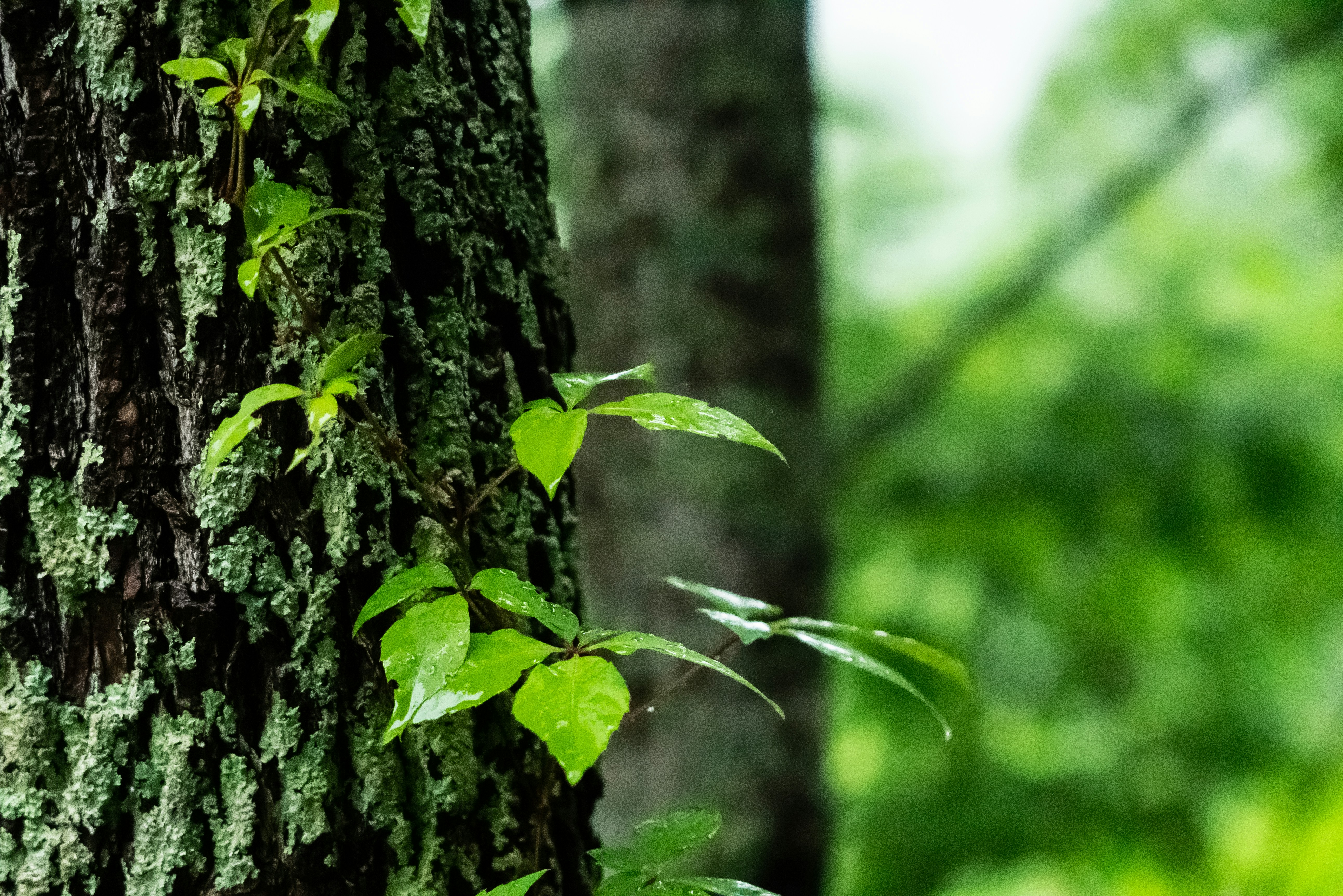 Photo by jaychayproductions