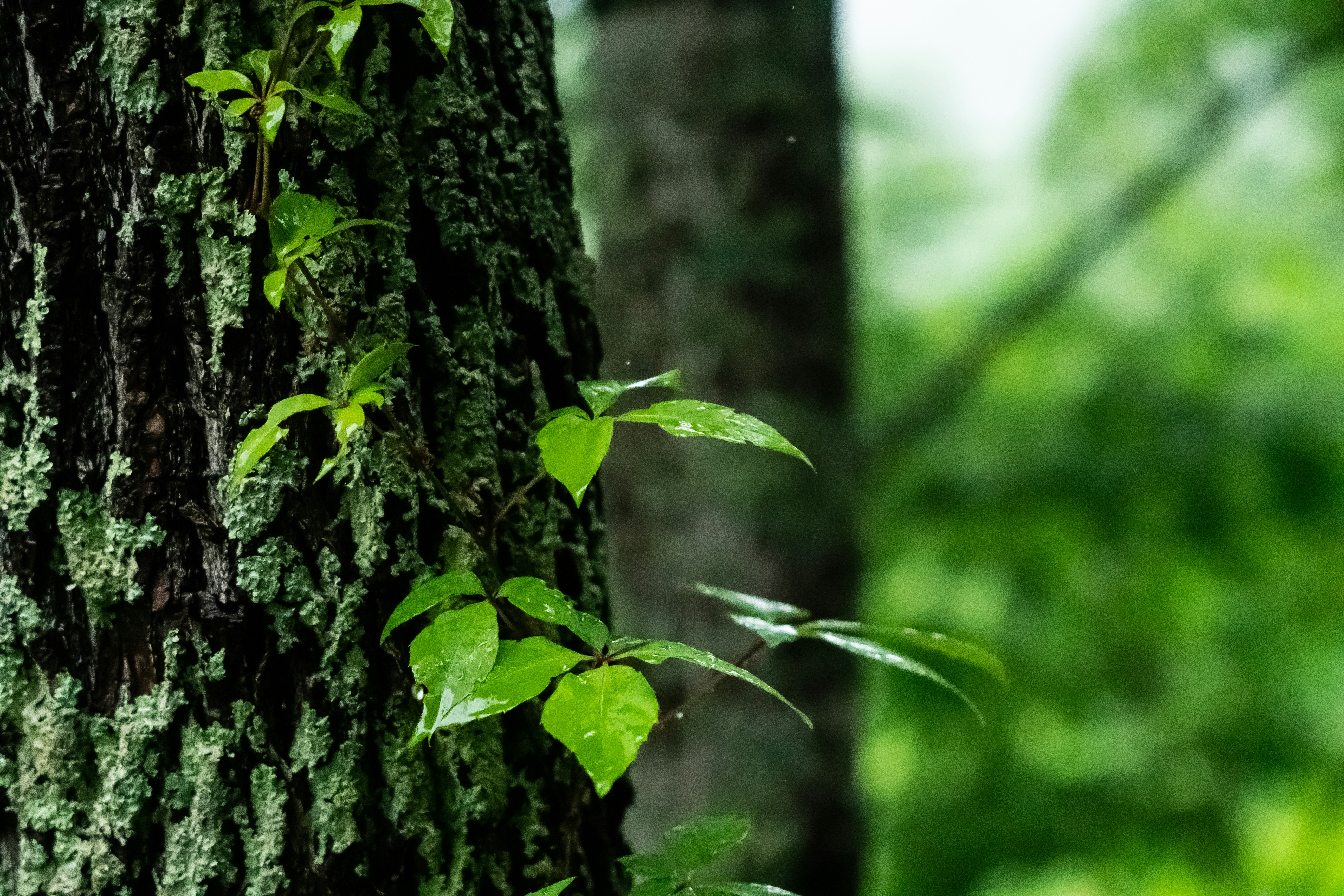 Photo by jaychayproductions