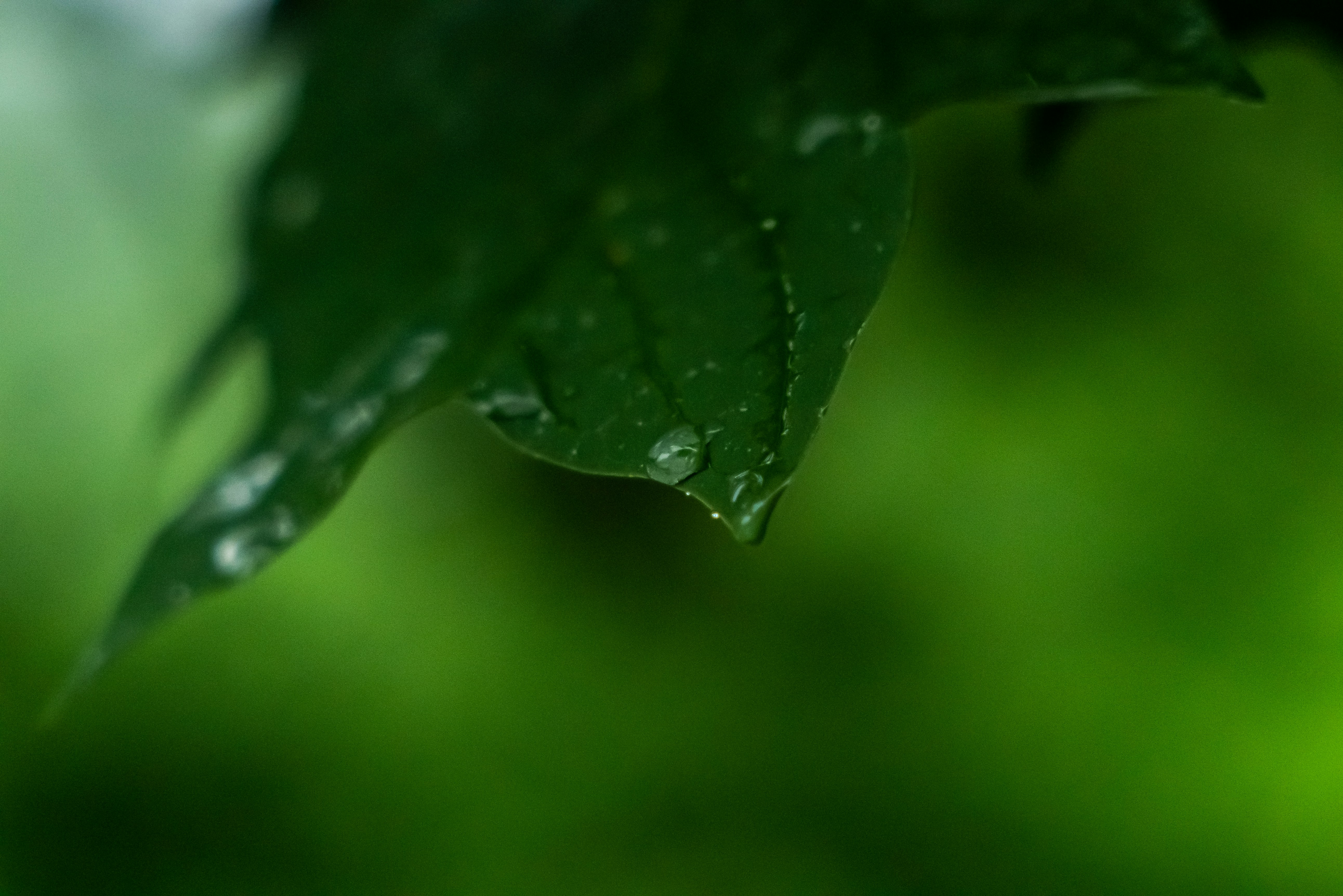 Photo by jaychayproductions