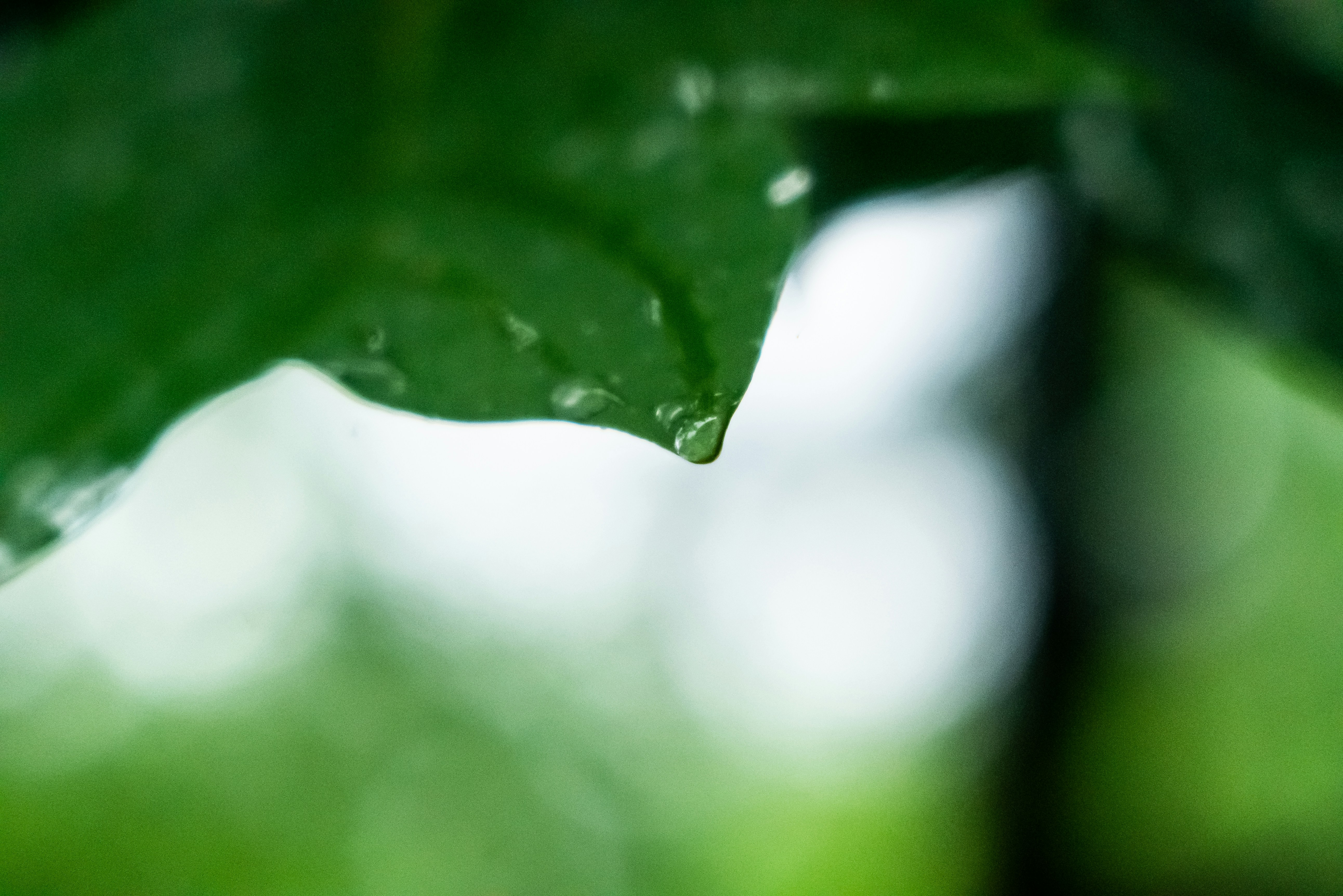 Photo by jaychayproductions