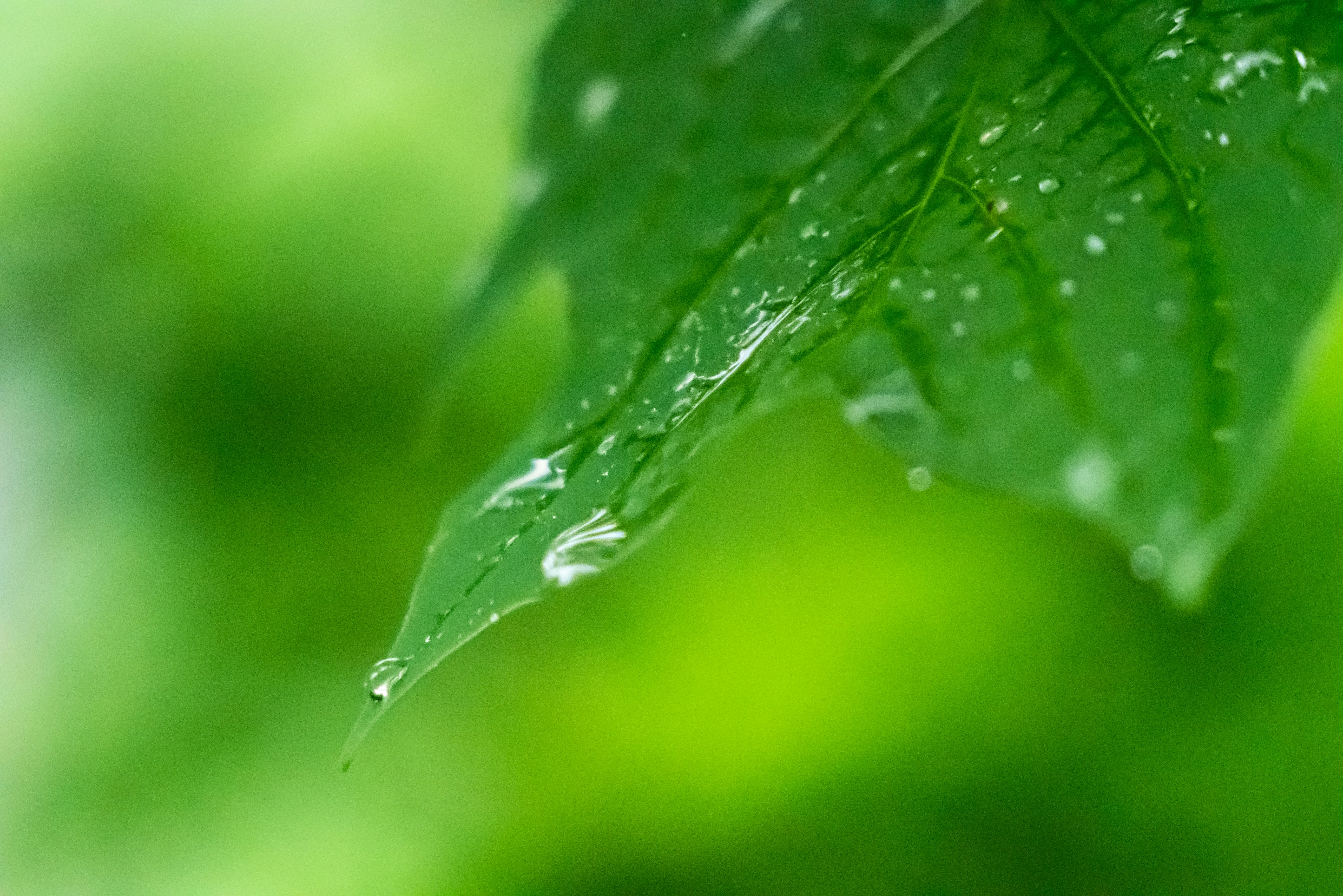 Photo by jaychayproductions