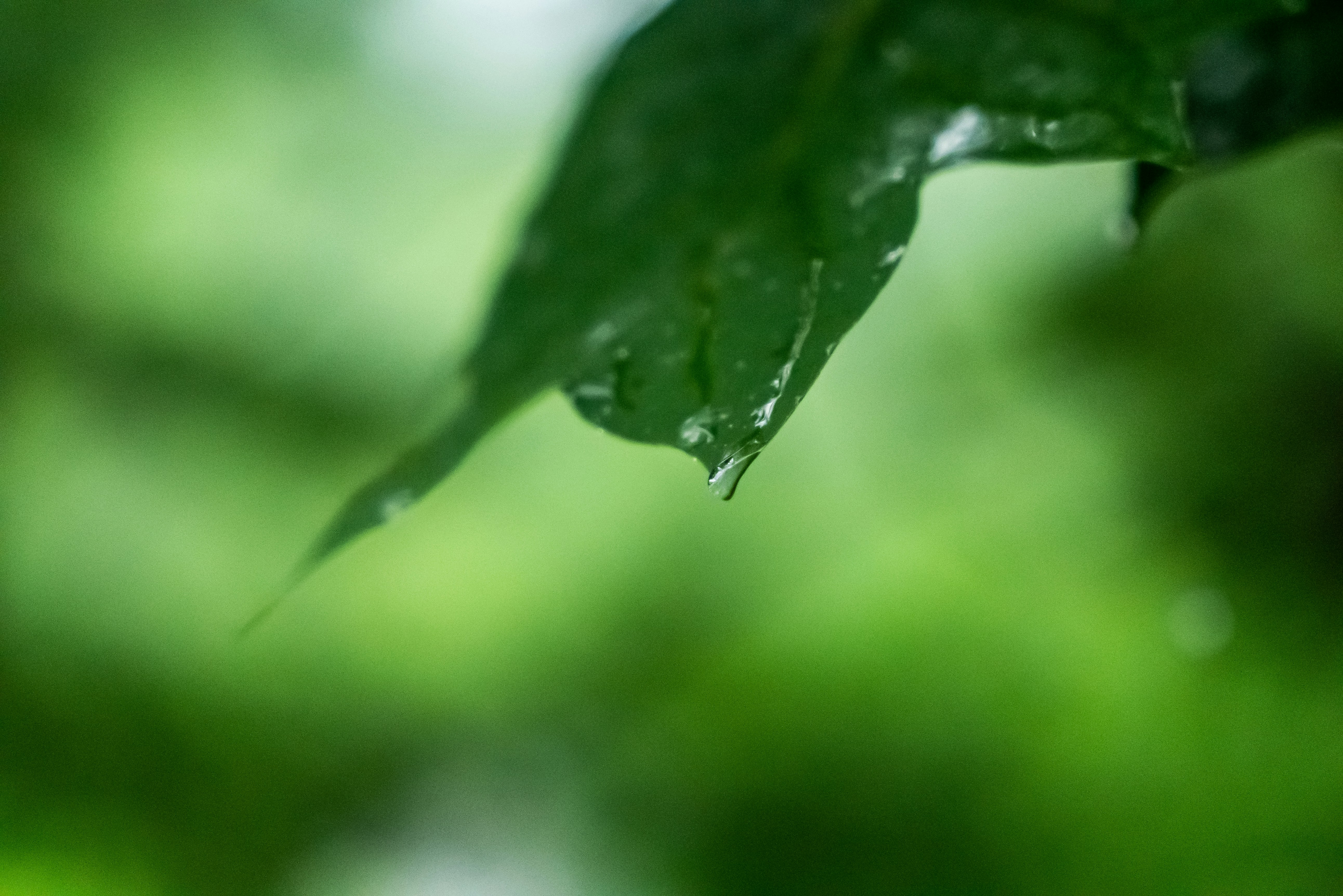 Photo by jaychayproductions