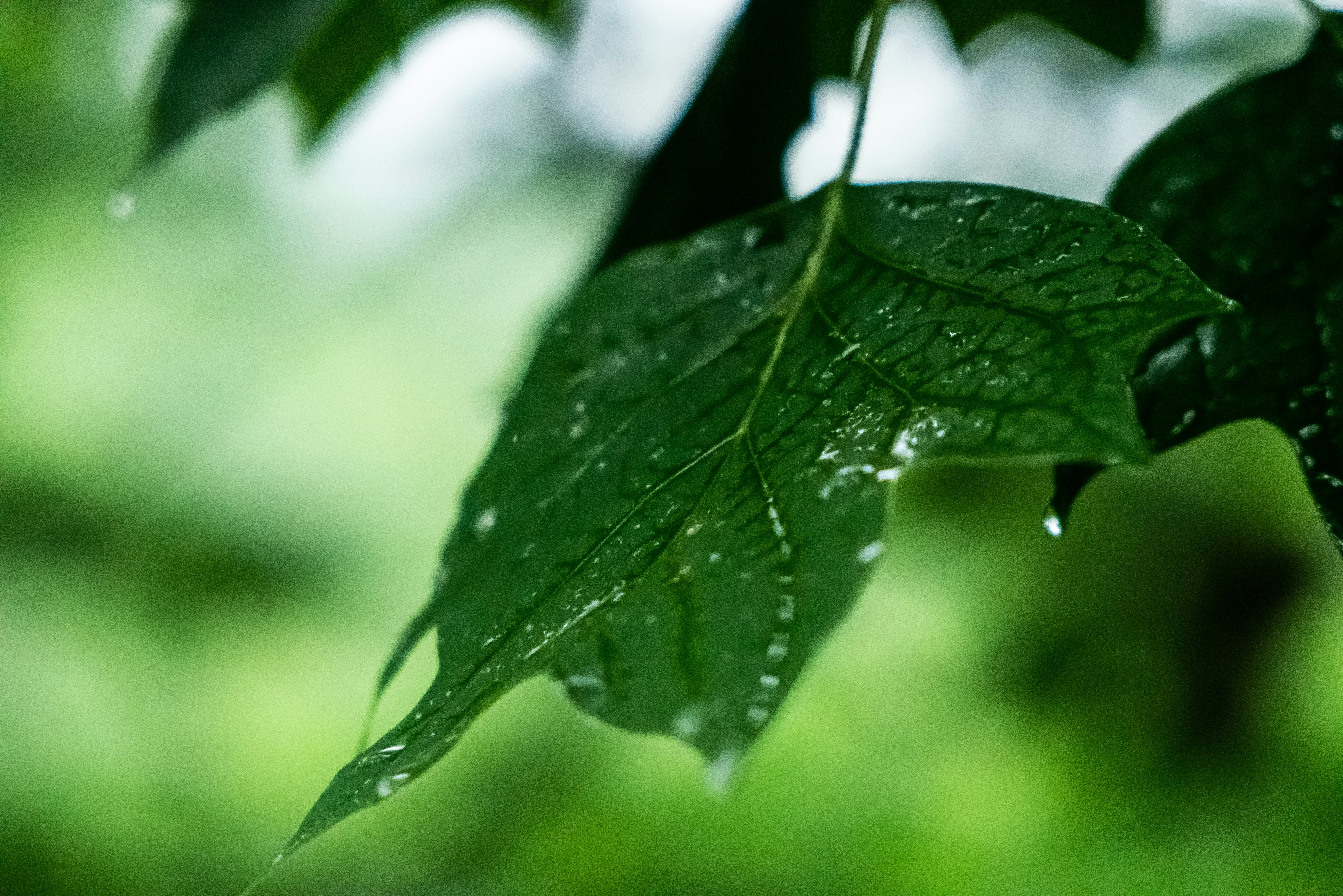 Photo by jaychayproductions