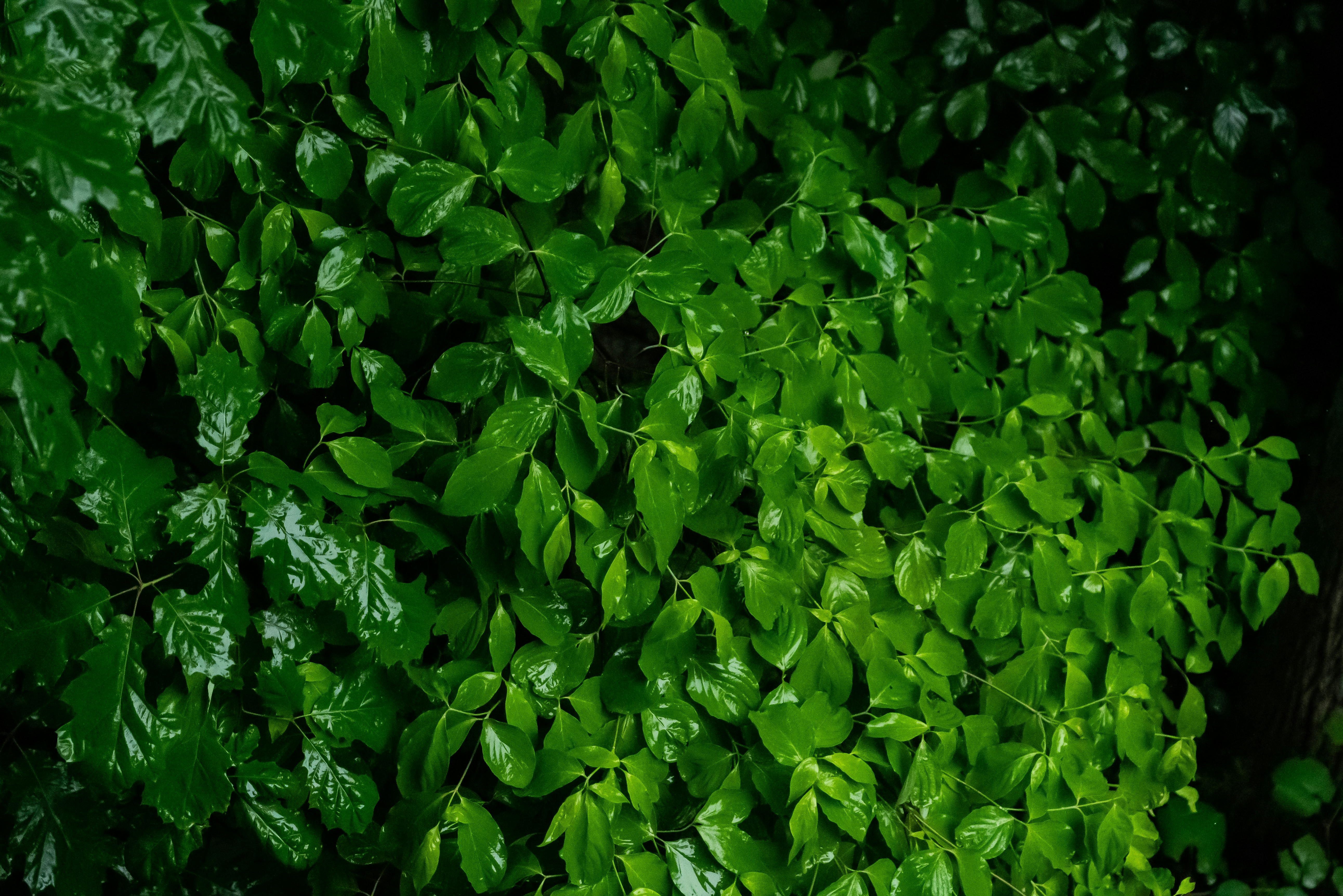 Photo by jaychayproductions