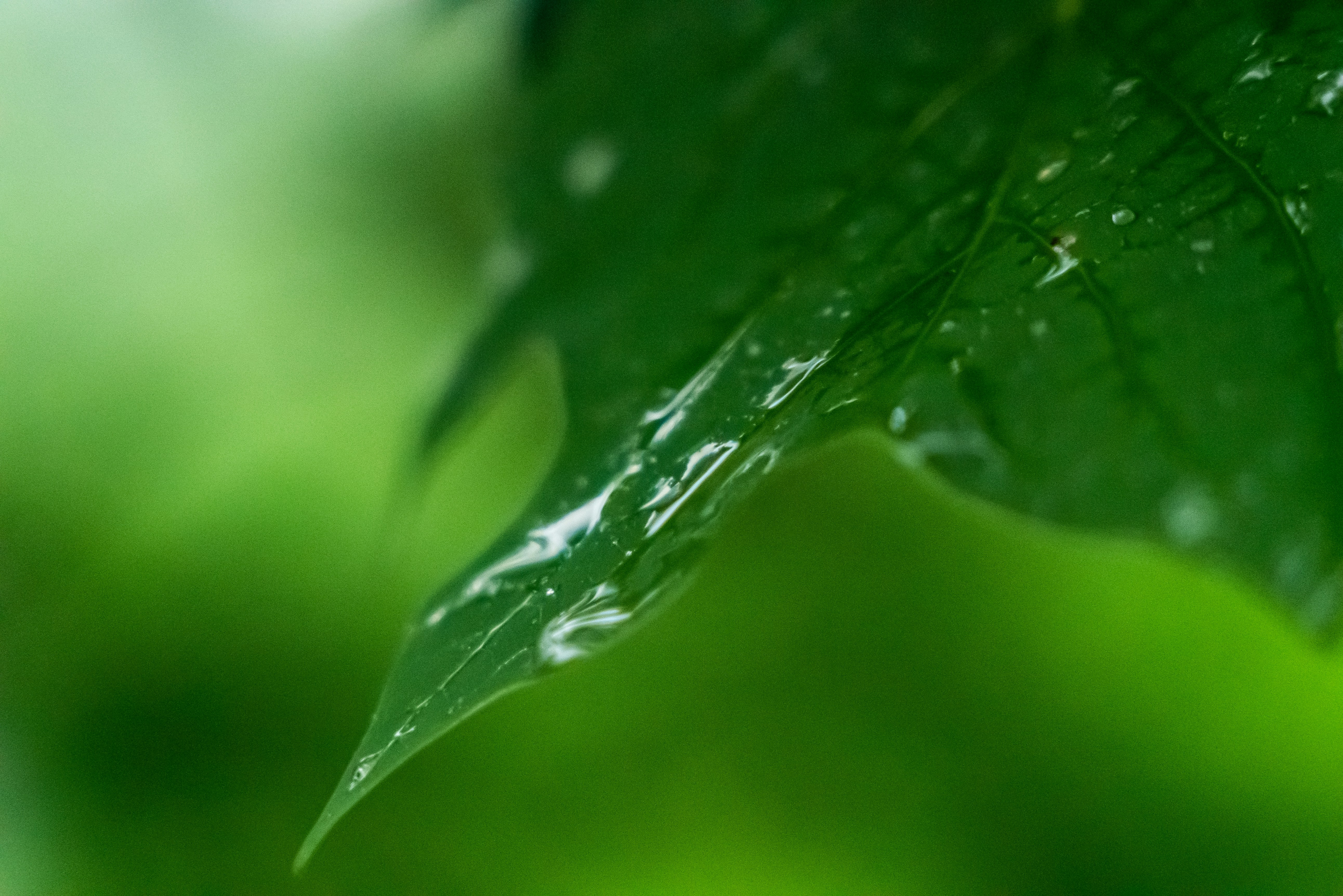 Photo by jaychayproductions