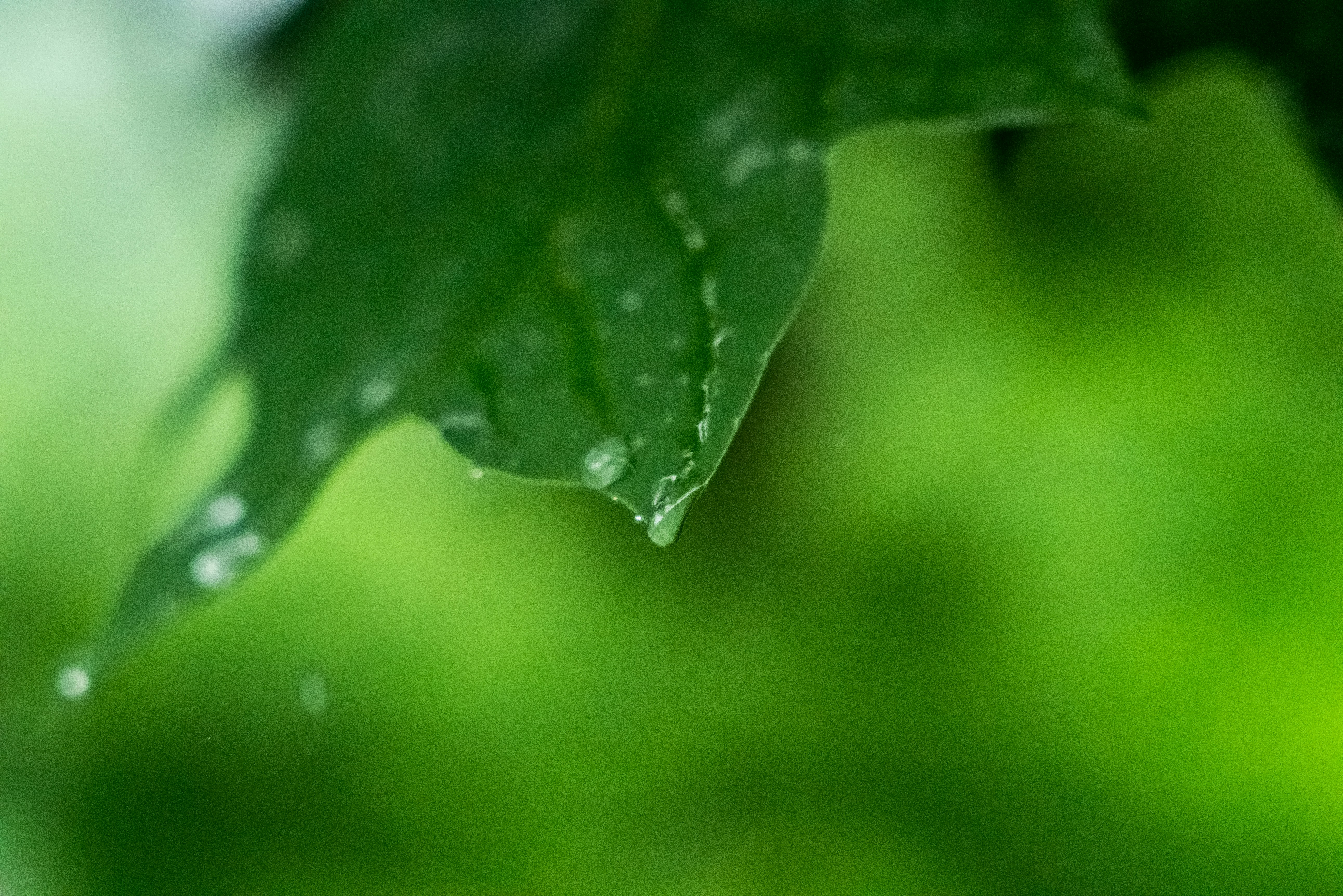 Photo by jaychayproductions