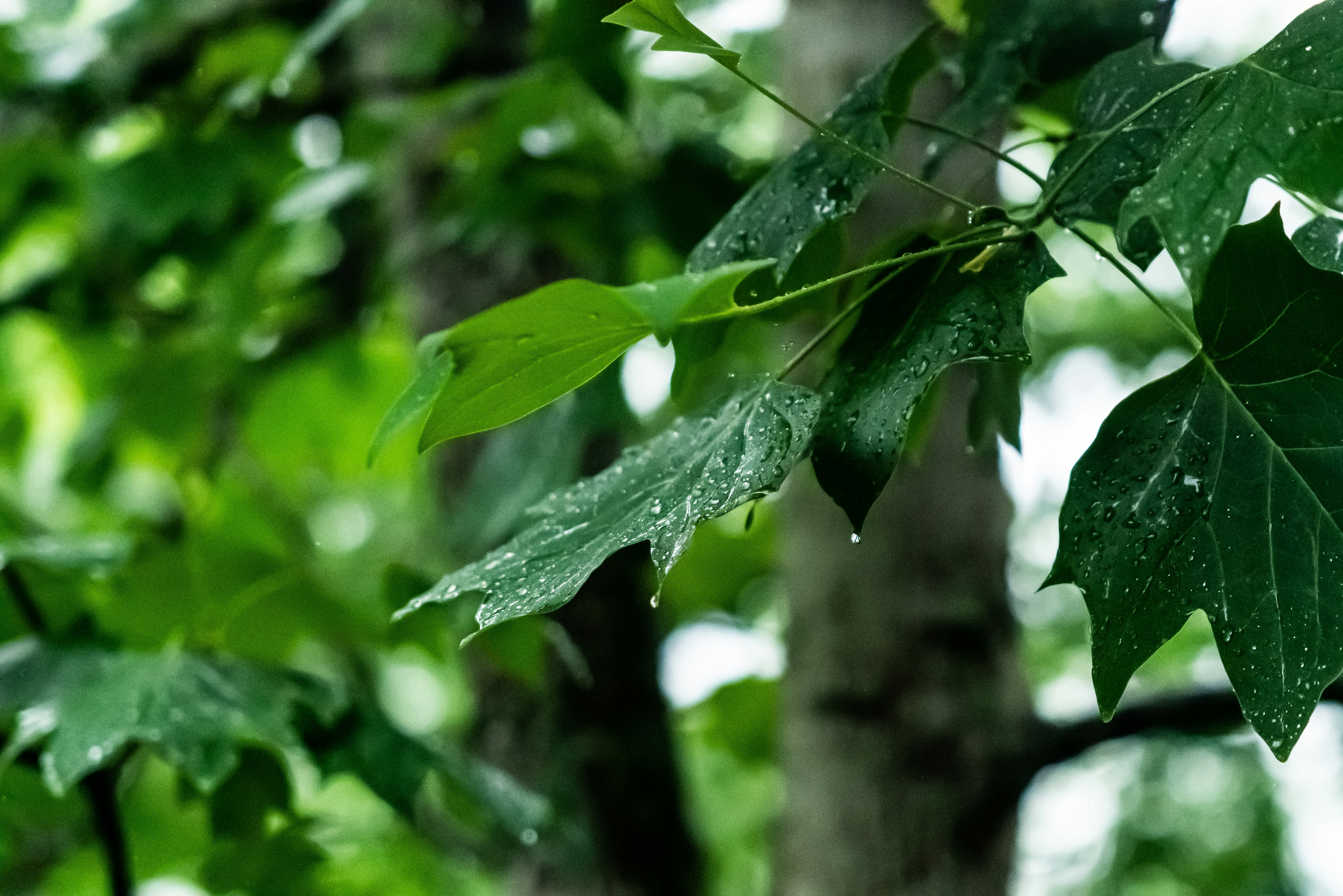 Photo by jaychayproductions