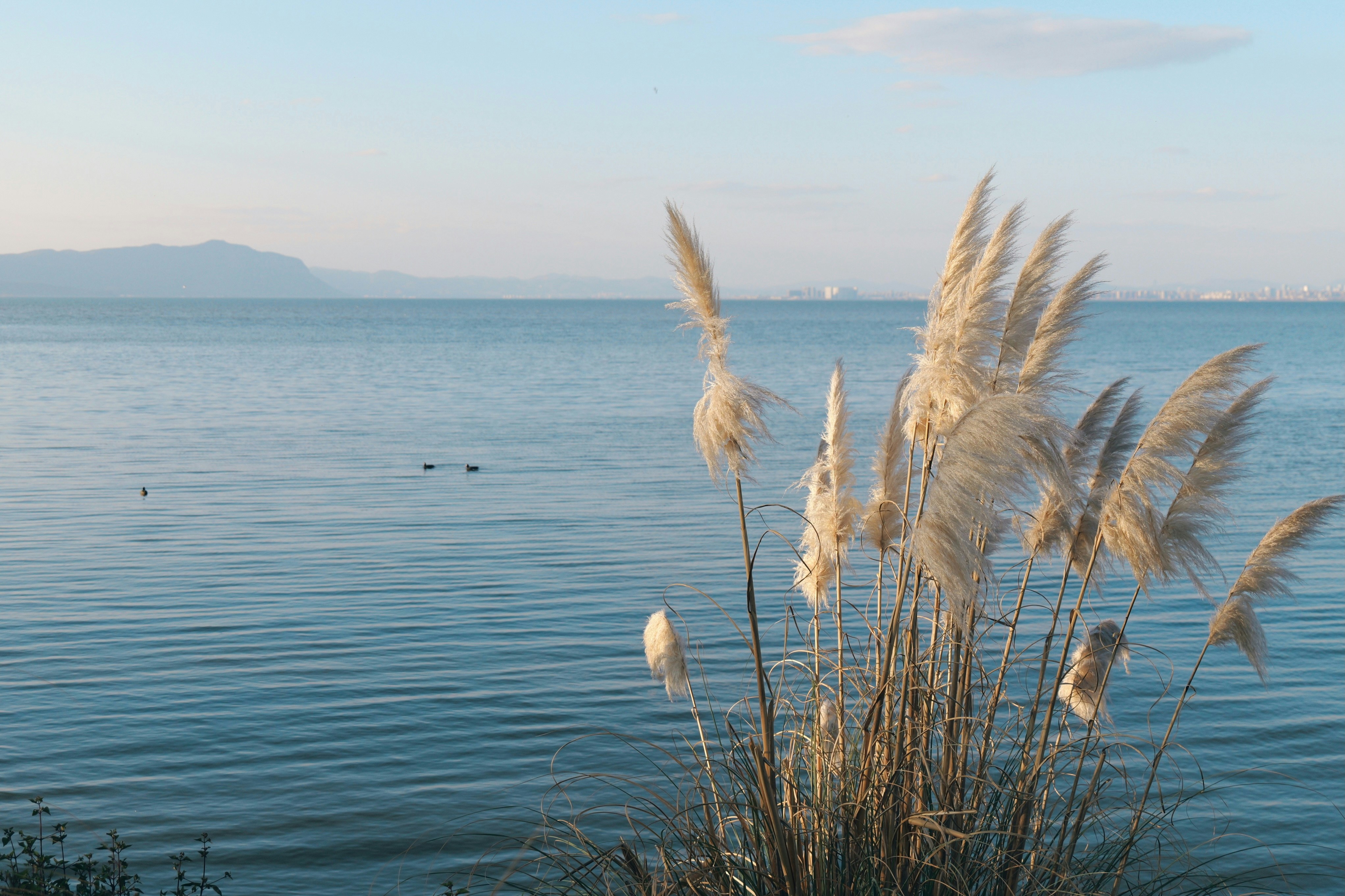 Image by Yang Liu via Unsplash