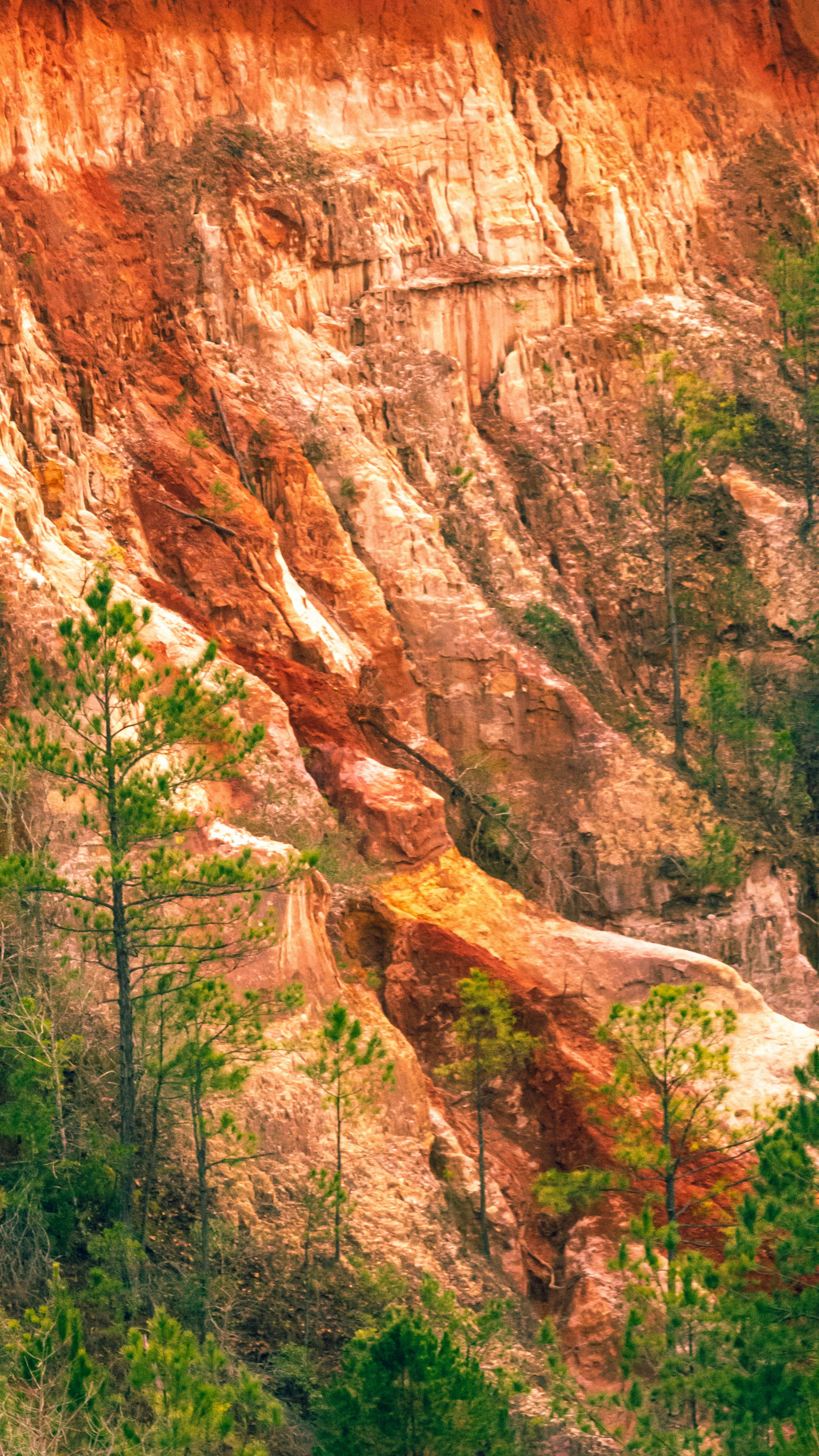 Photo by ajdphotography