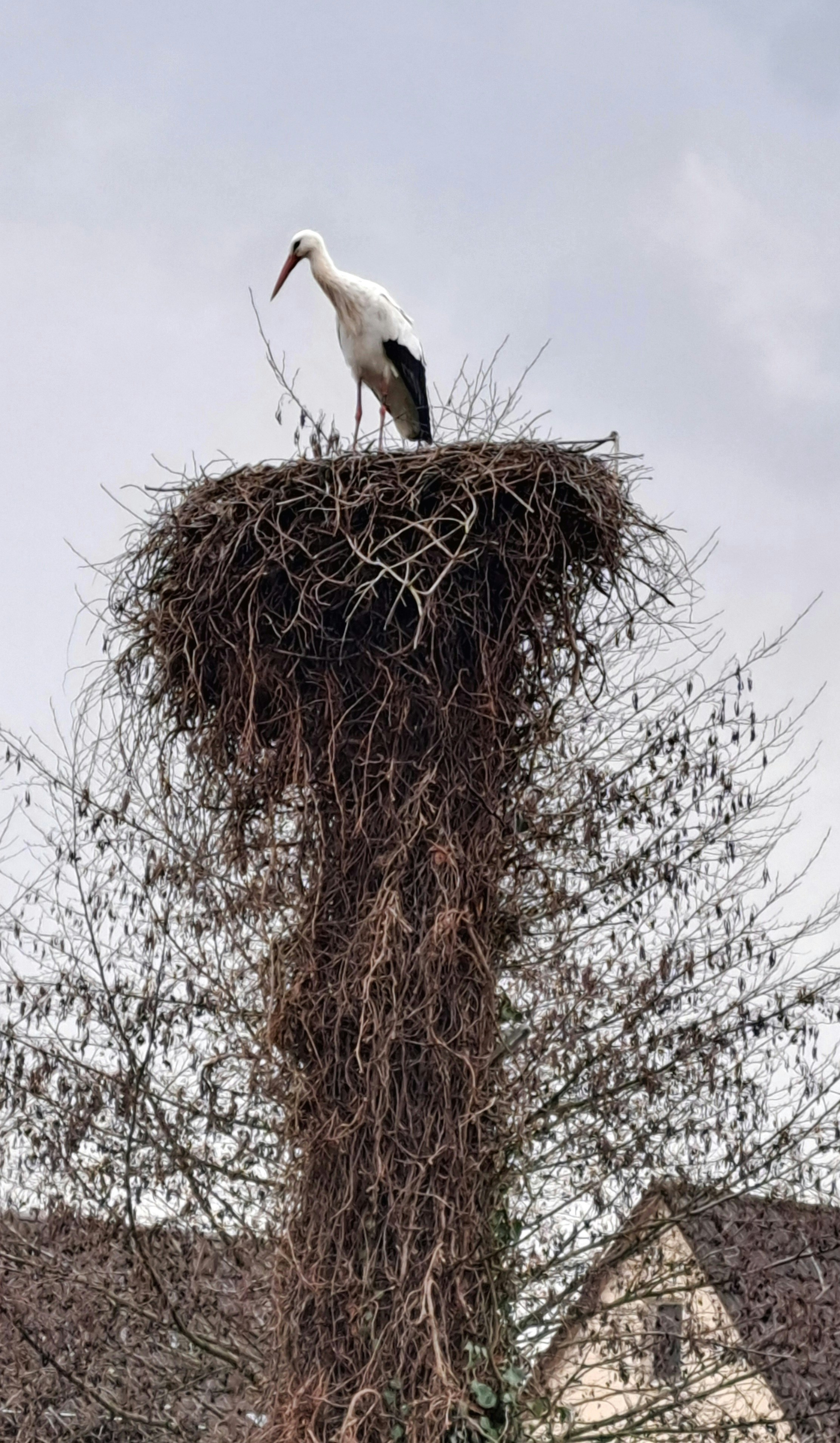 Photo by schreibmich