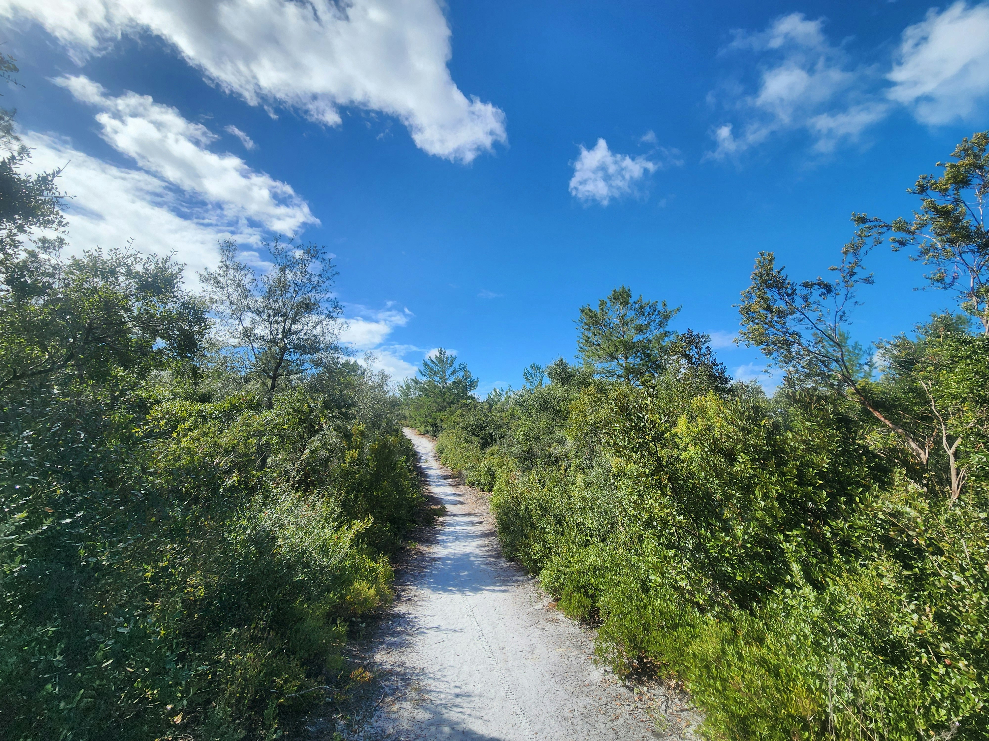 Photo by qnaturepics