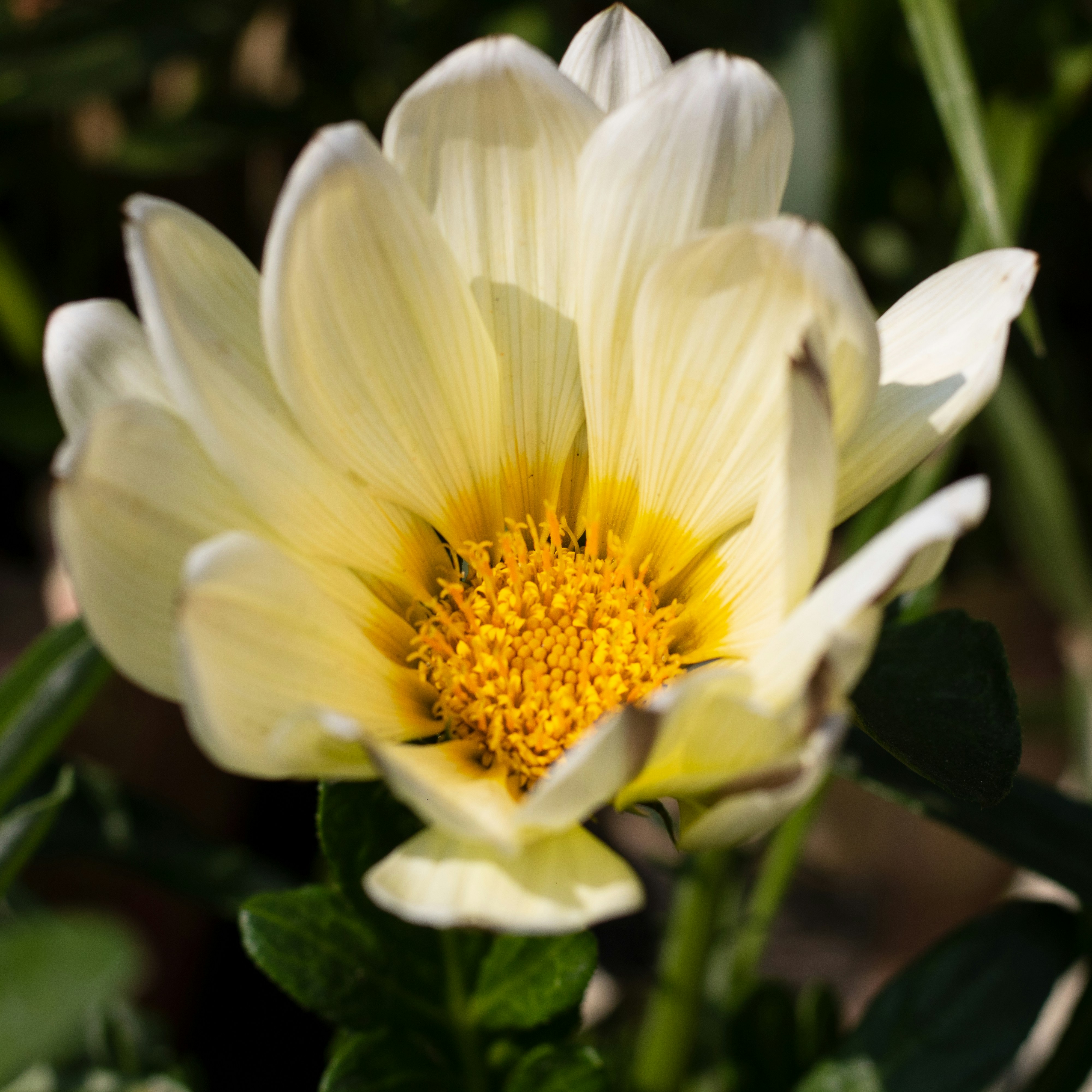 Photo by 5milliseconds