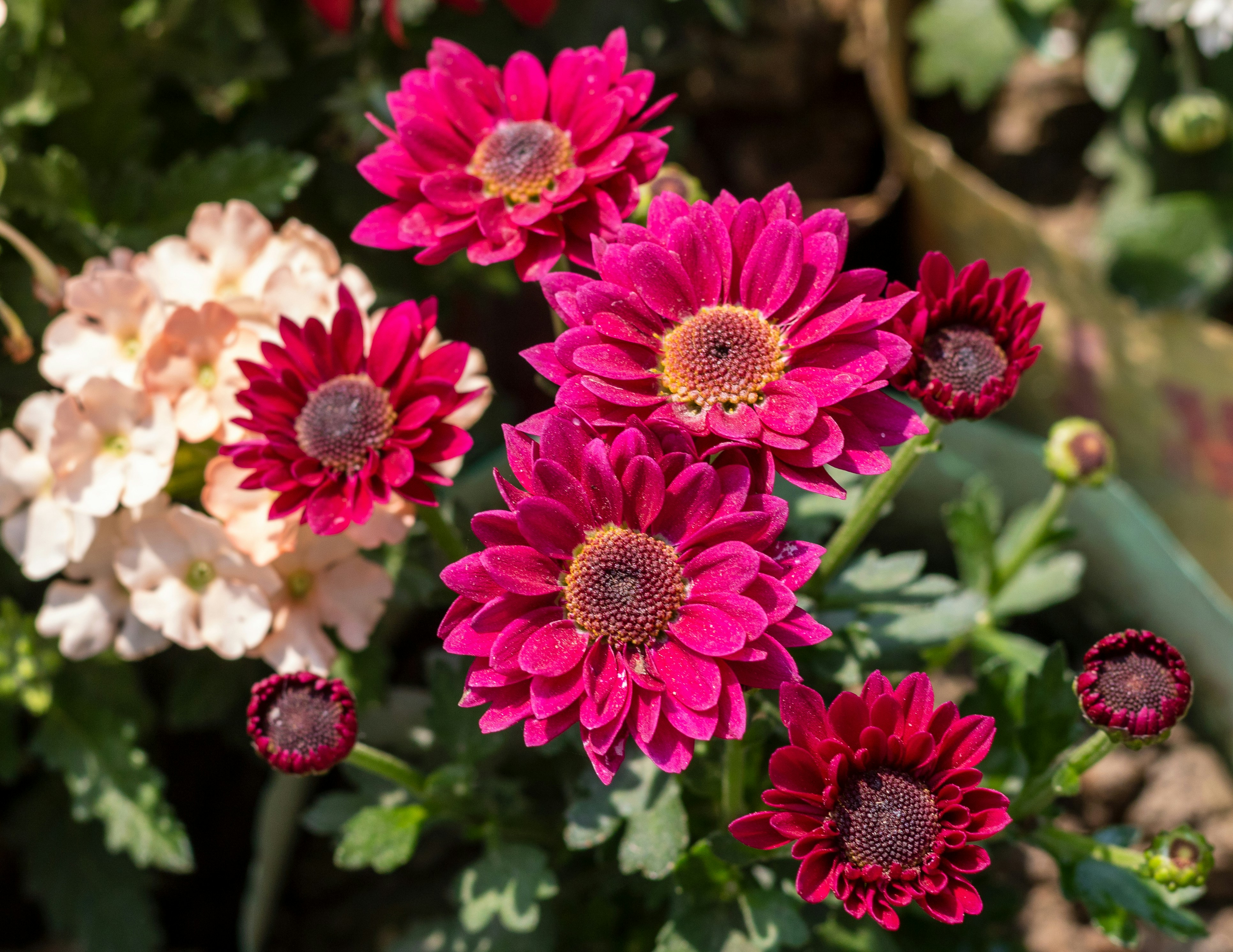 Photo by 5milliseconds