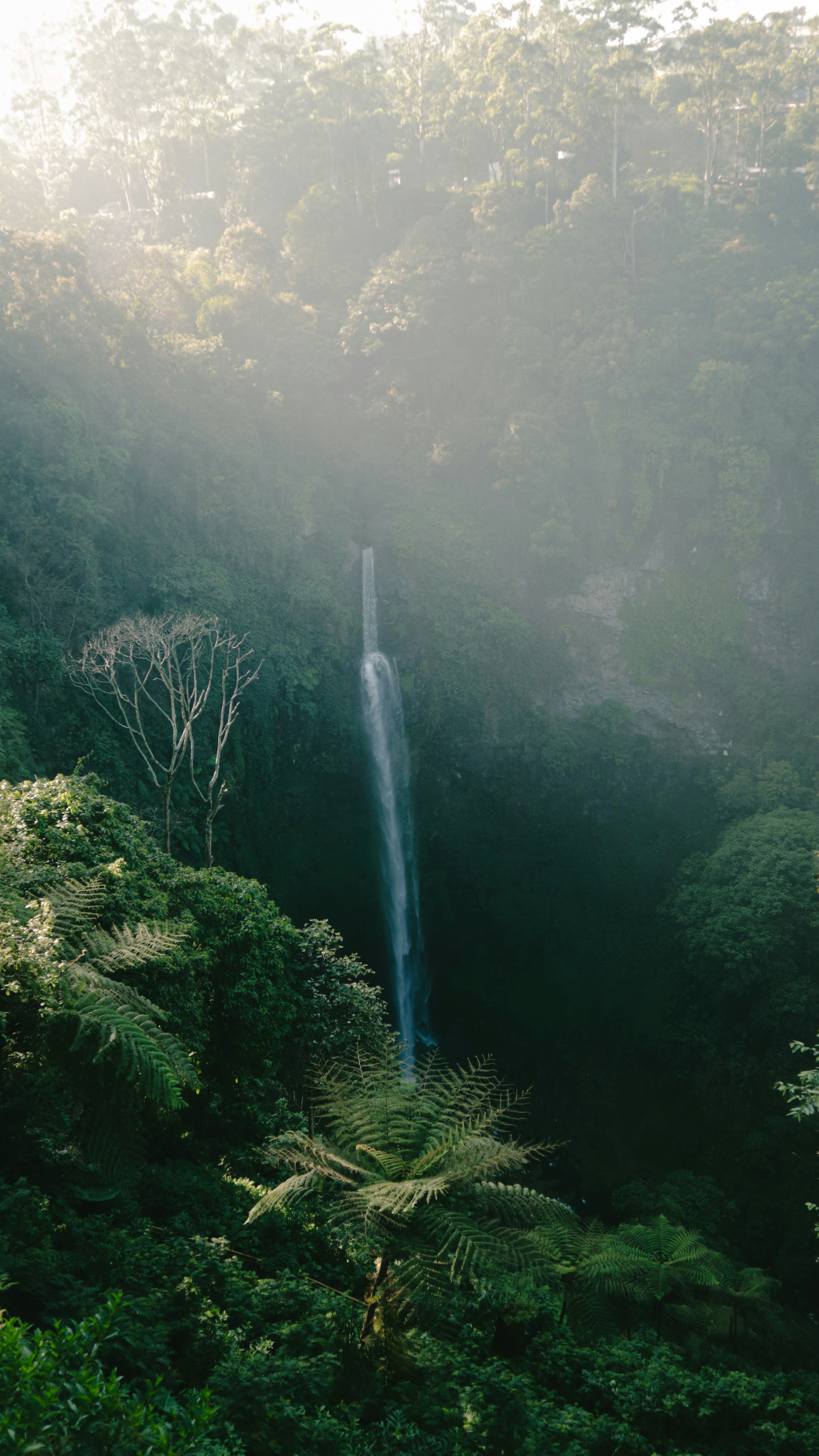 A large waterfall in the middle of a forest