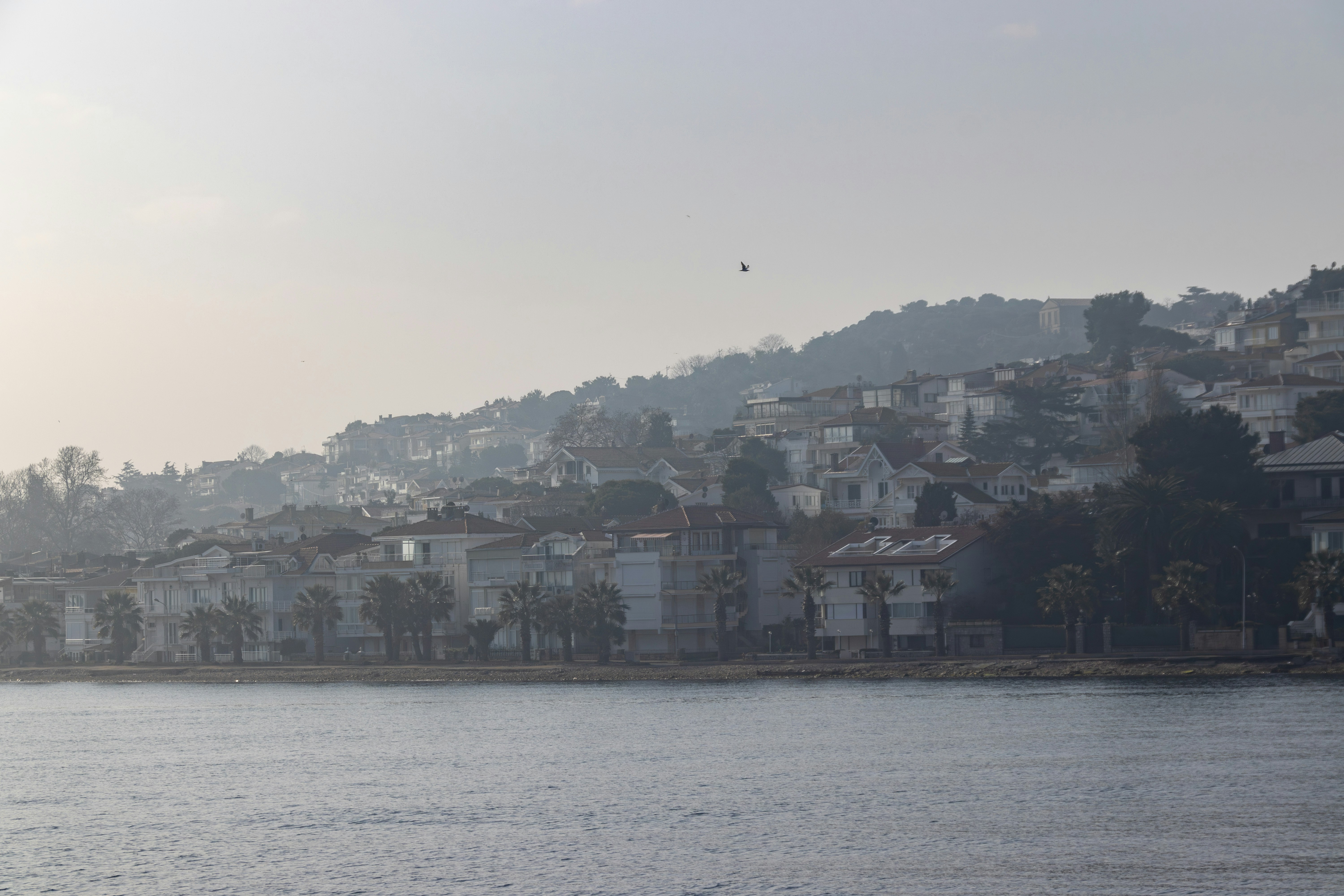 Водоём с домами на холме на заднем плане