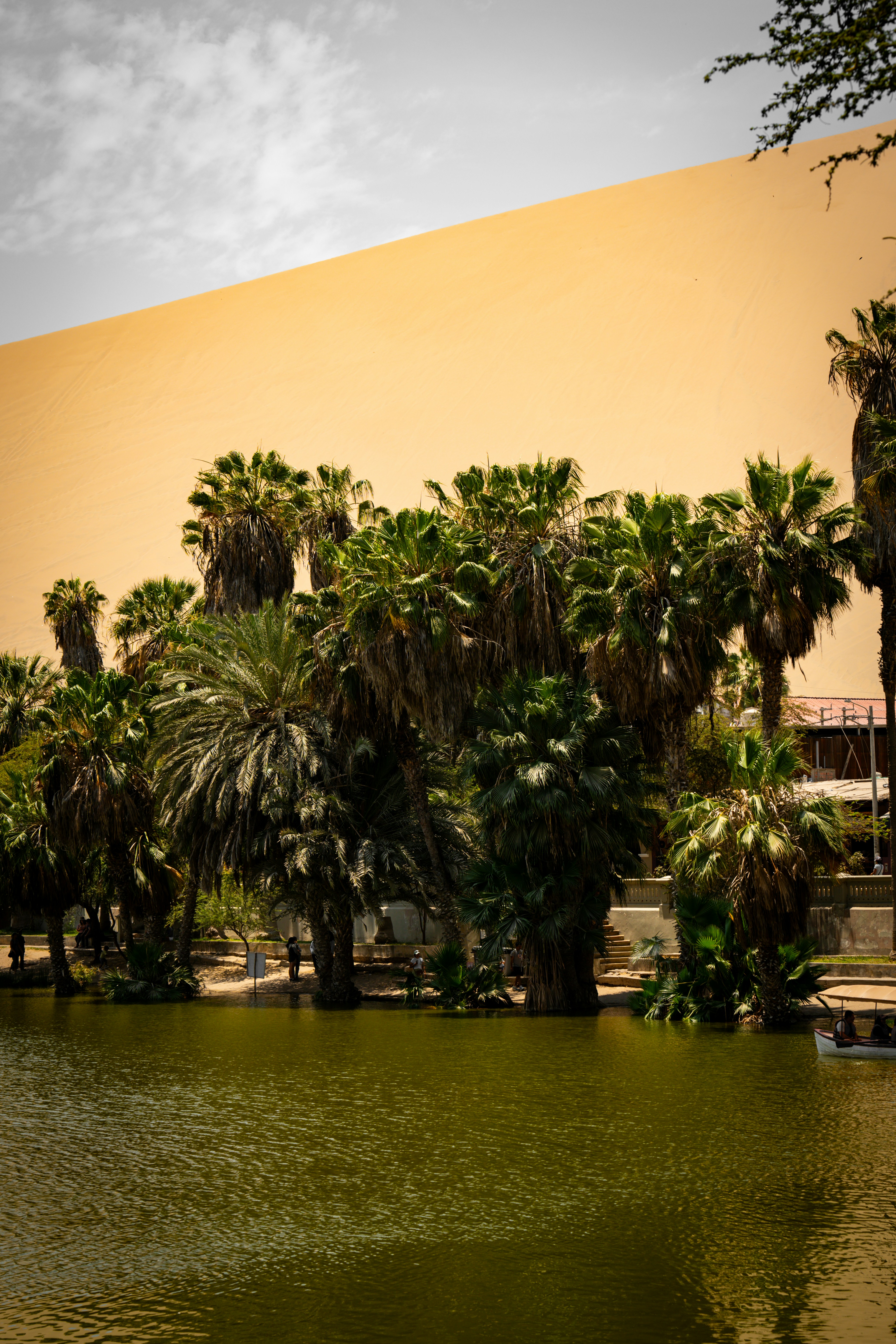 Photo by samtakespictures