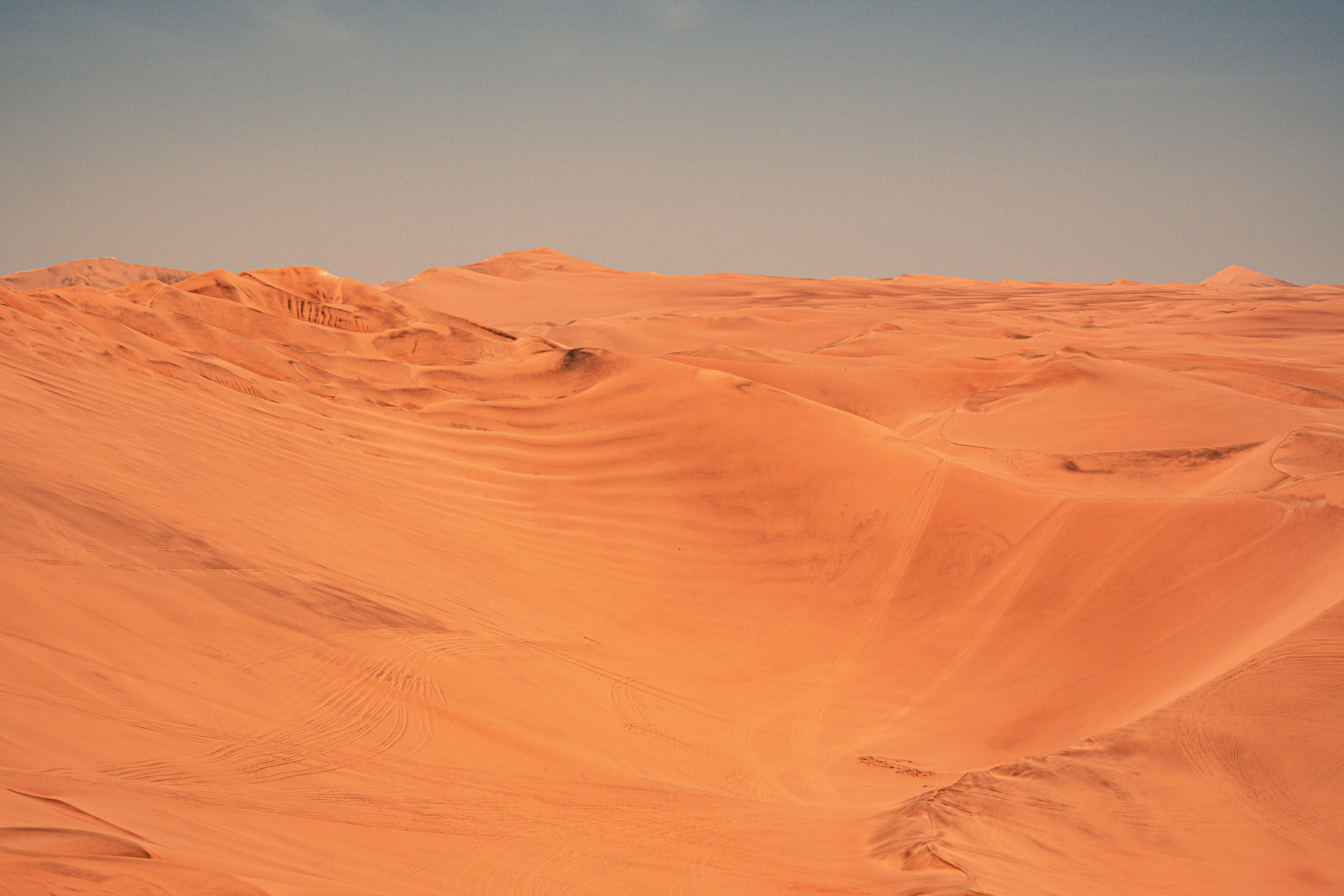 Photo by samtakespictures