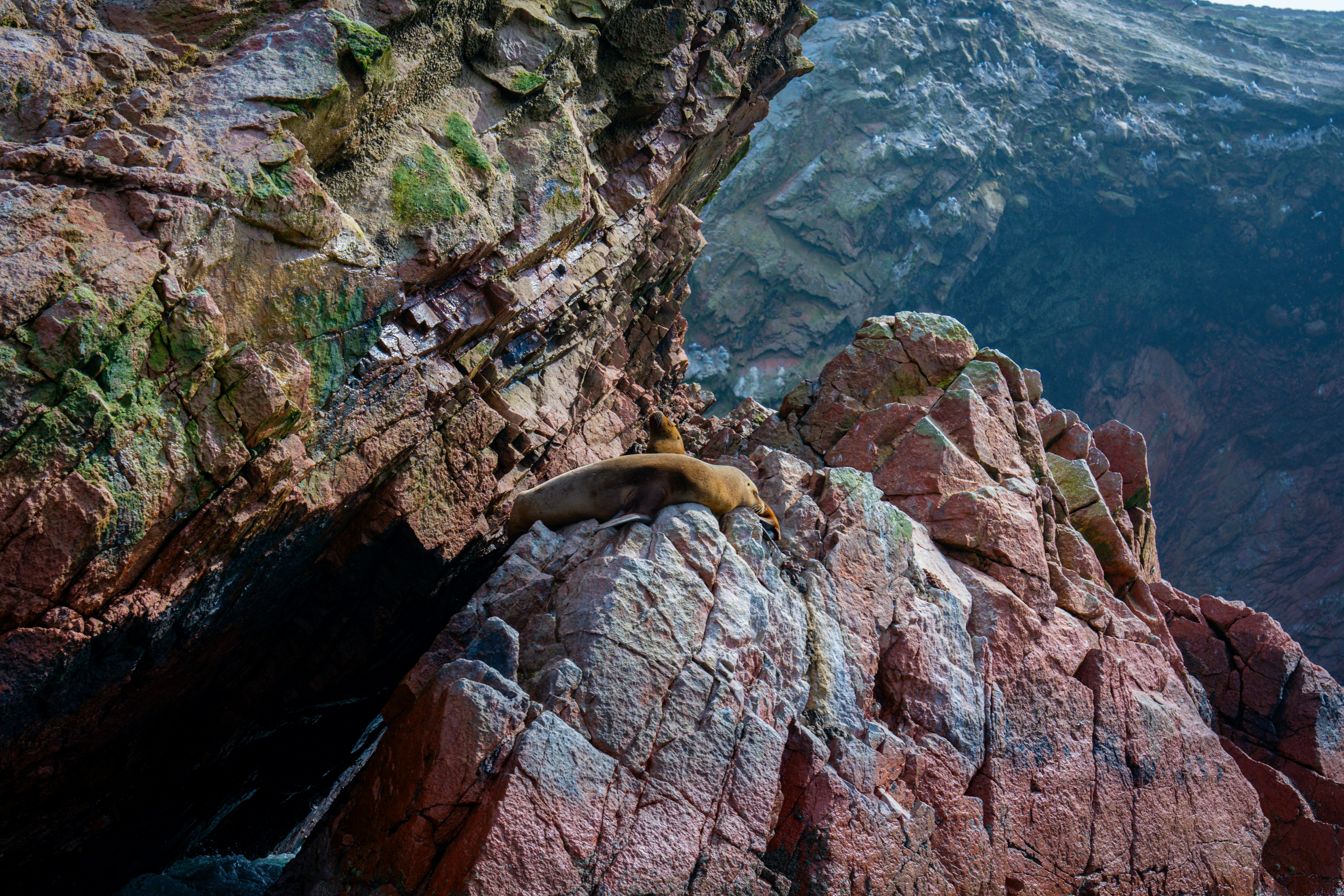 A yellow object is sitting on a rock