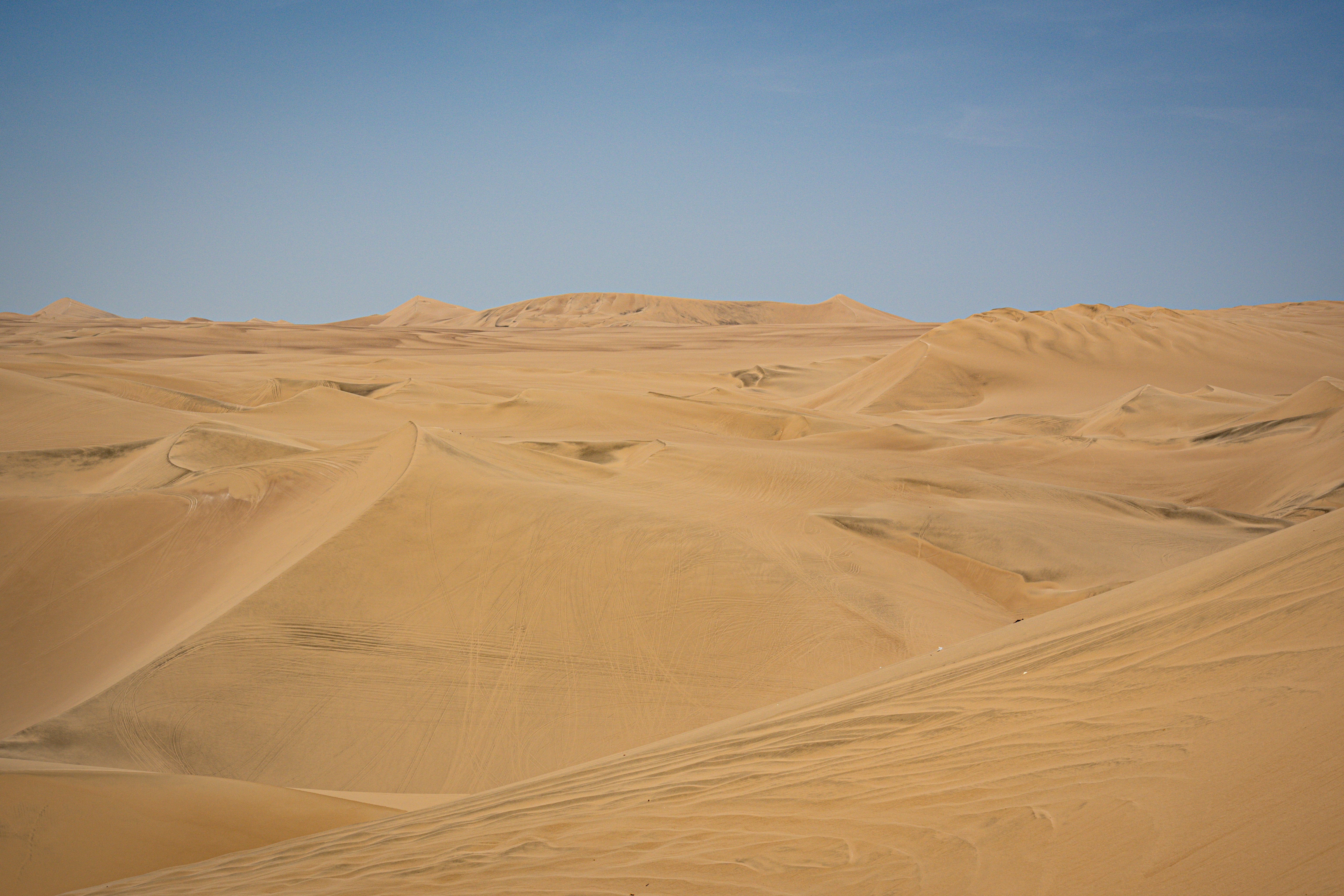 Photo by samtakespictures