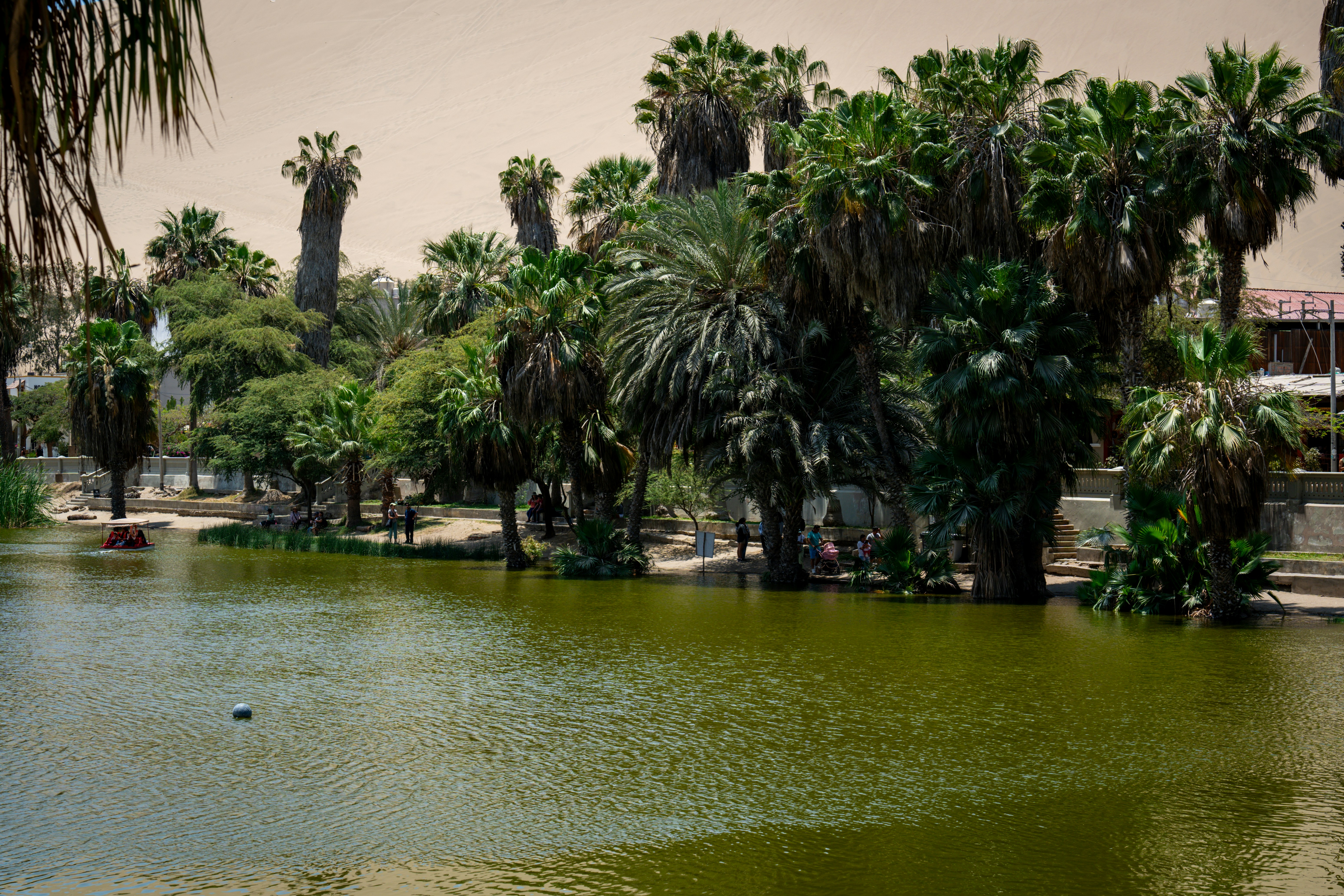 Photo by samtakespictures