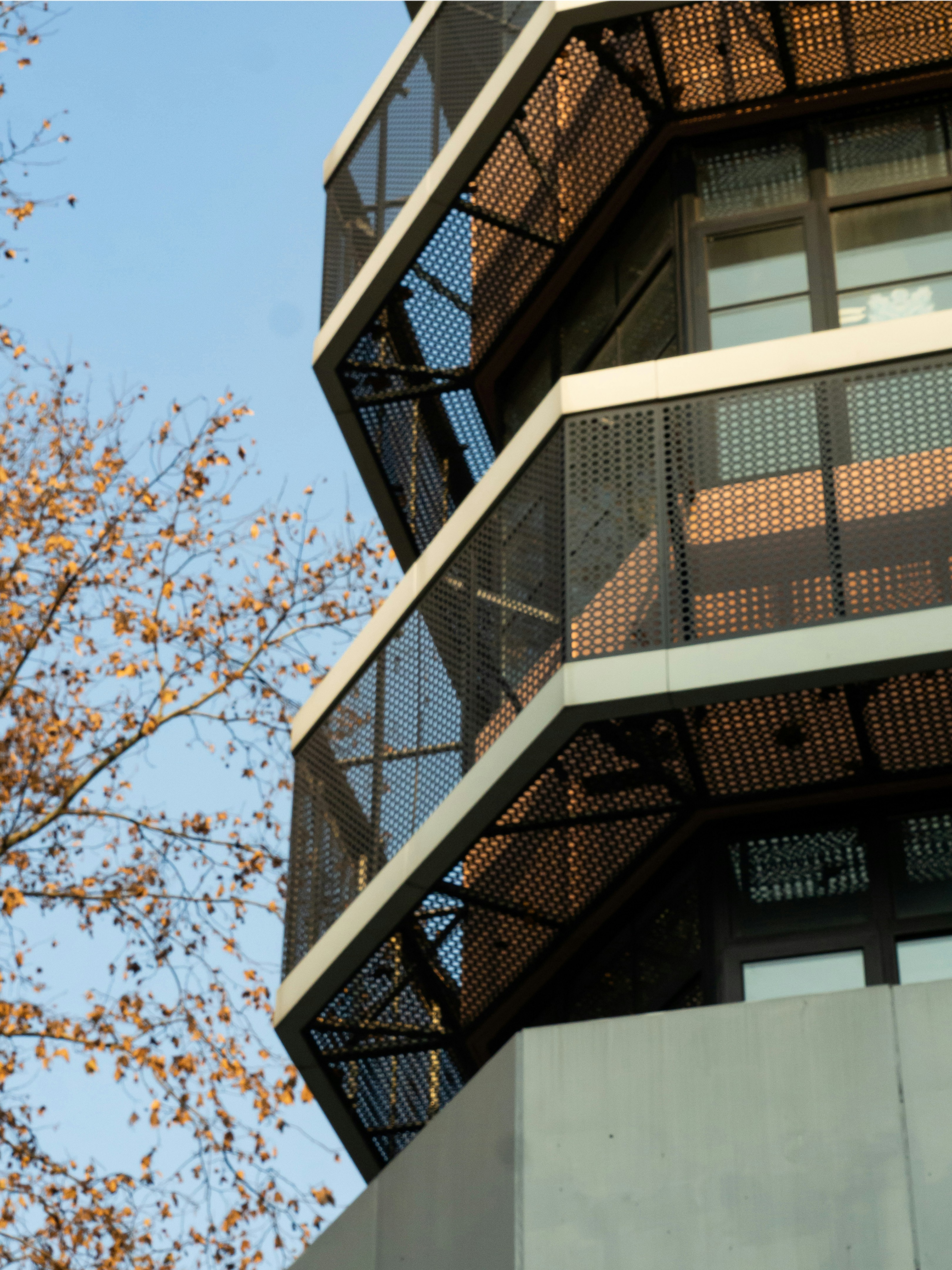 Photo by siriusharrison