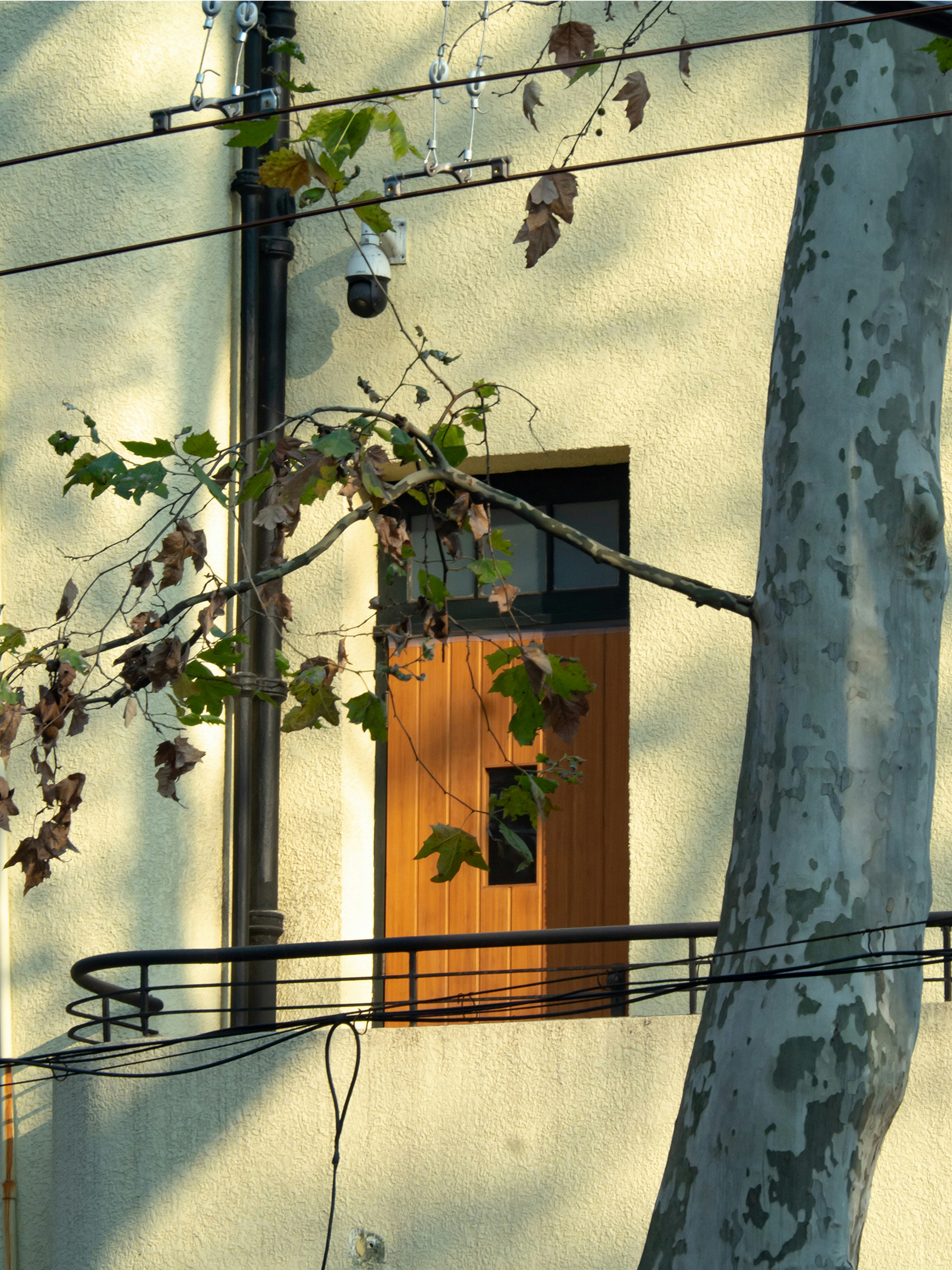 Photo by siriusharrison