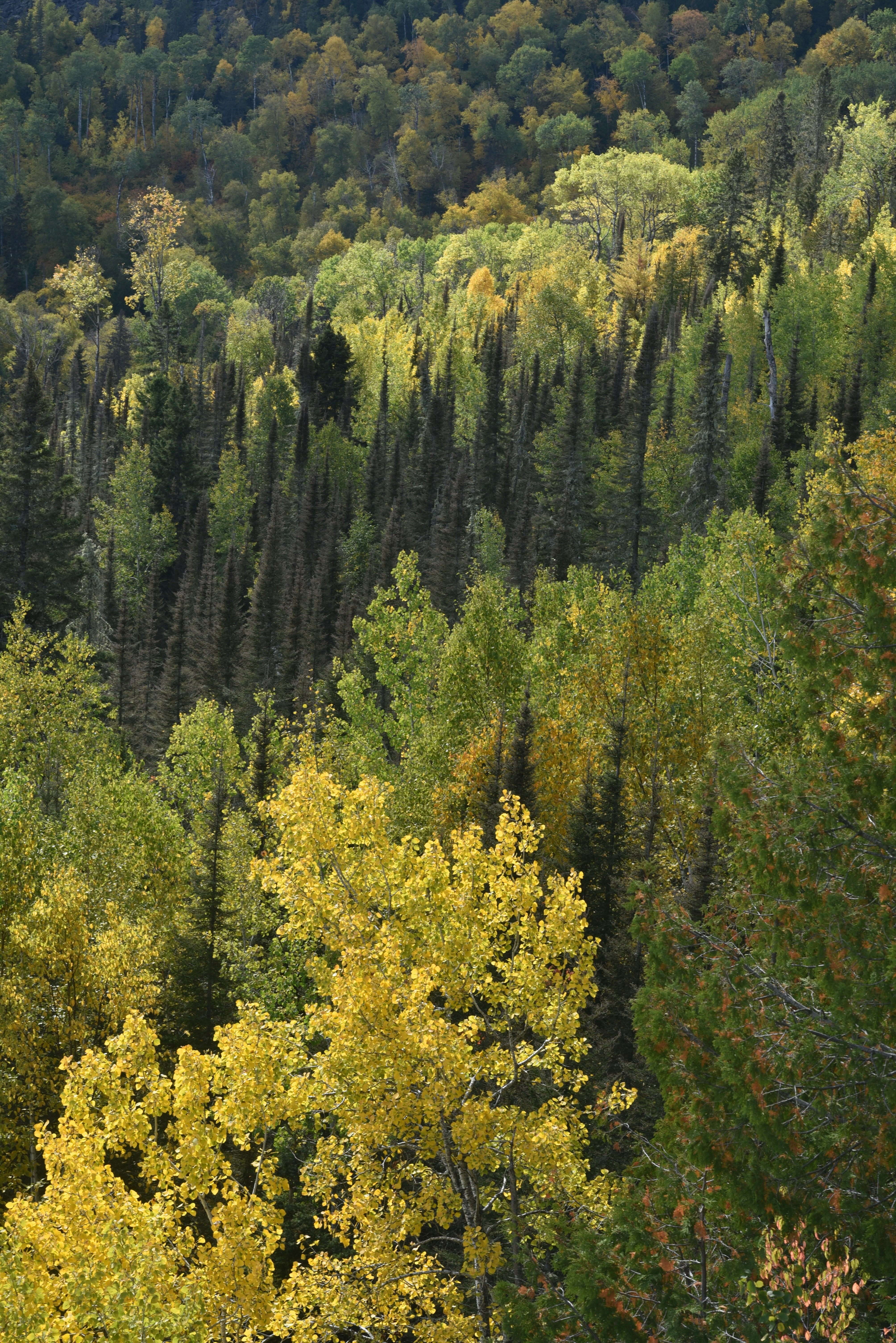 Photo by enlightening_images