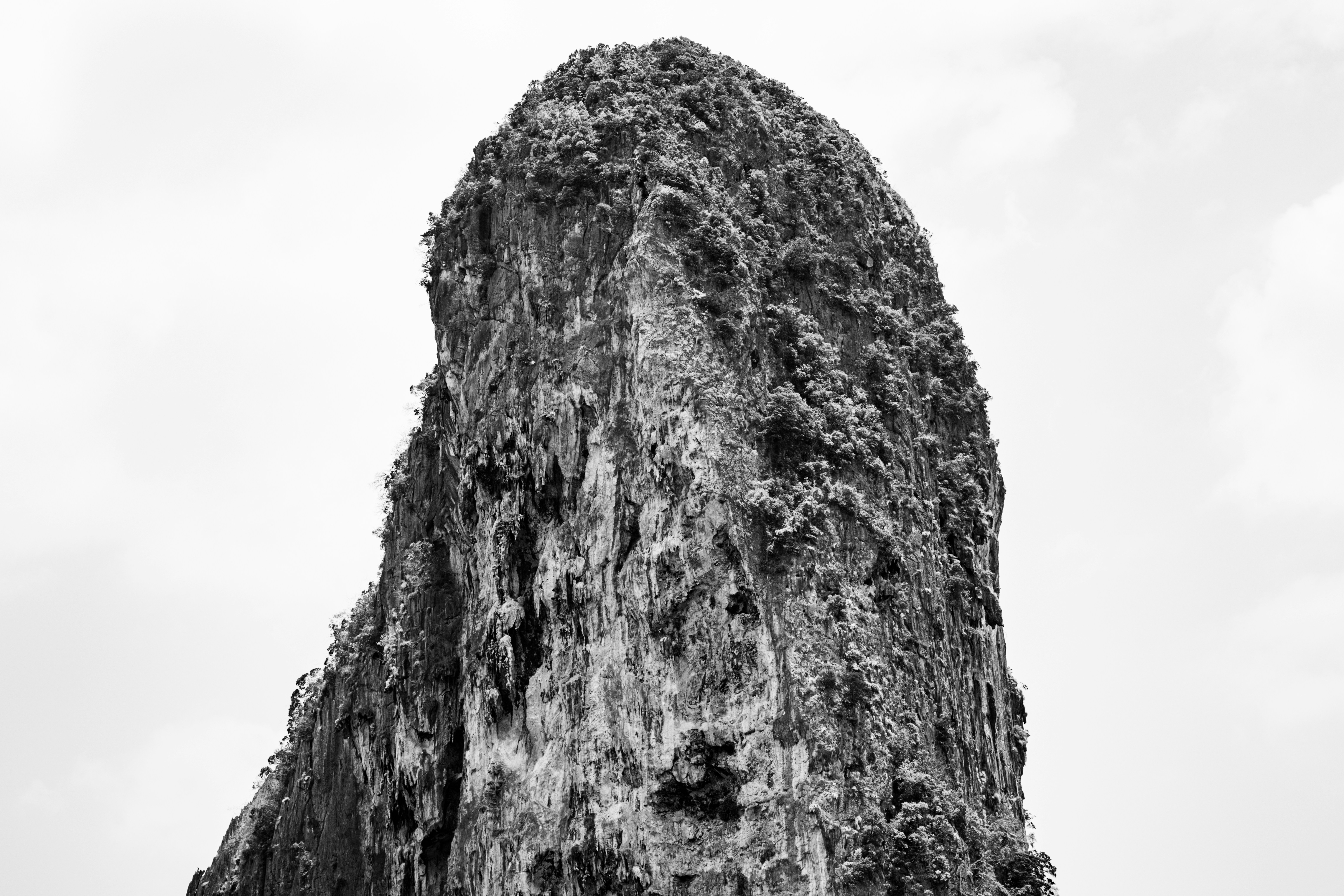 Photo by samtakespictures