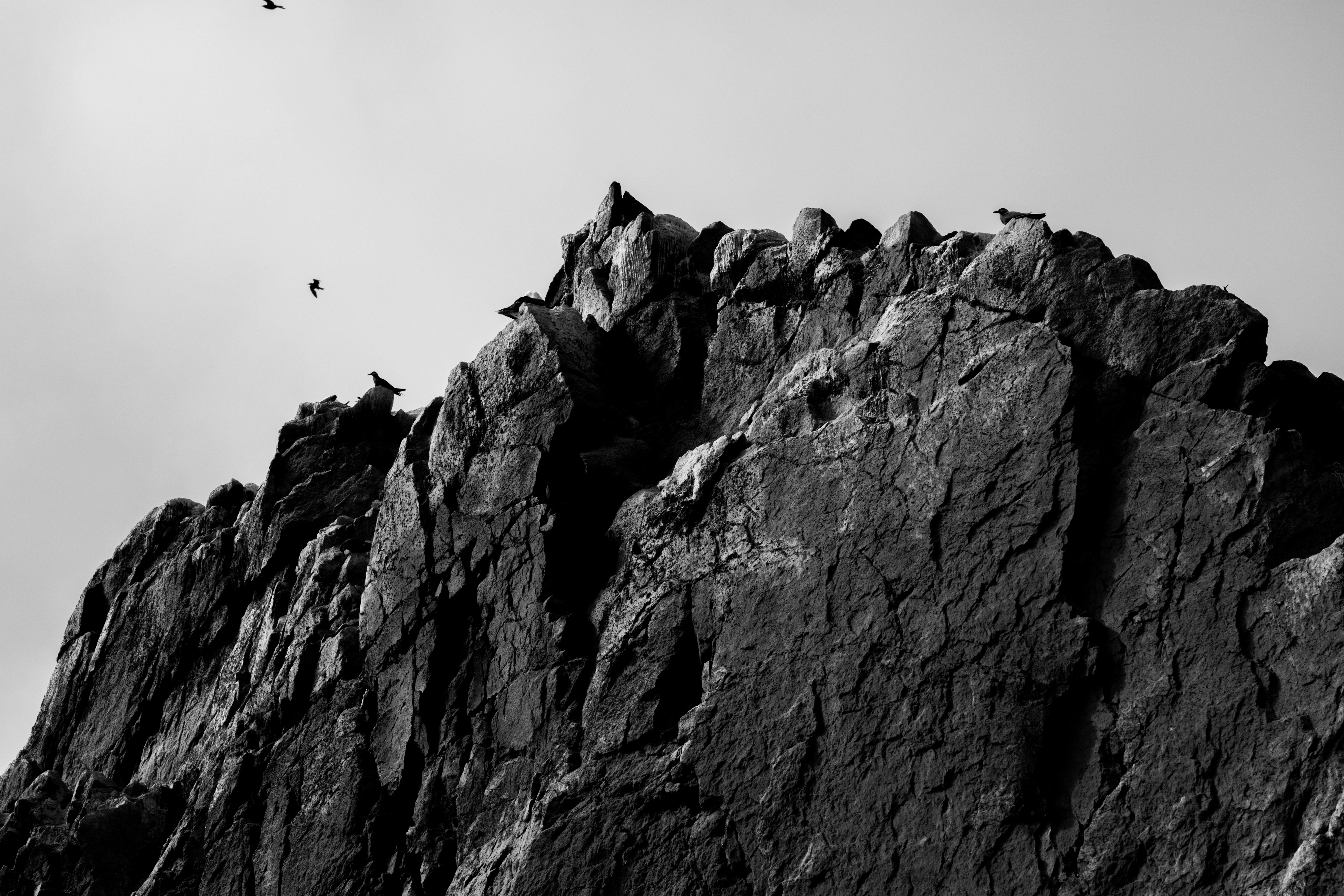 Photo by samtakespictures