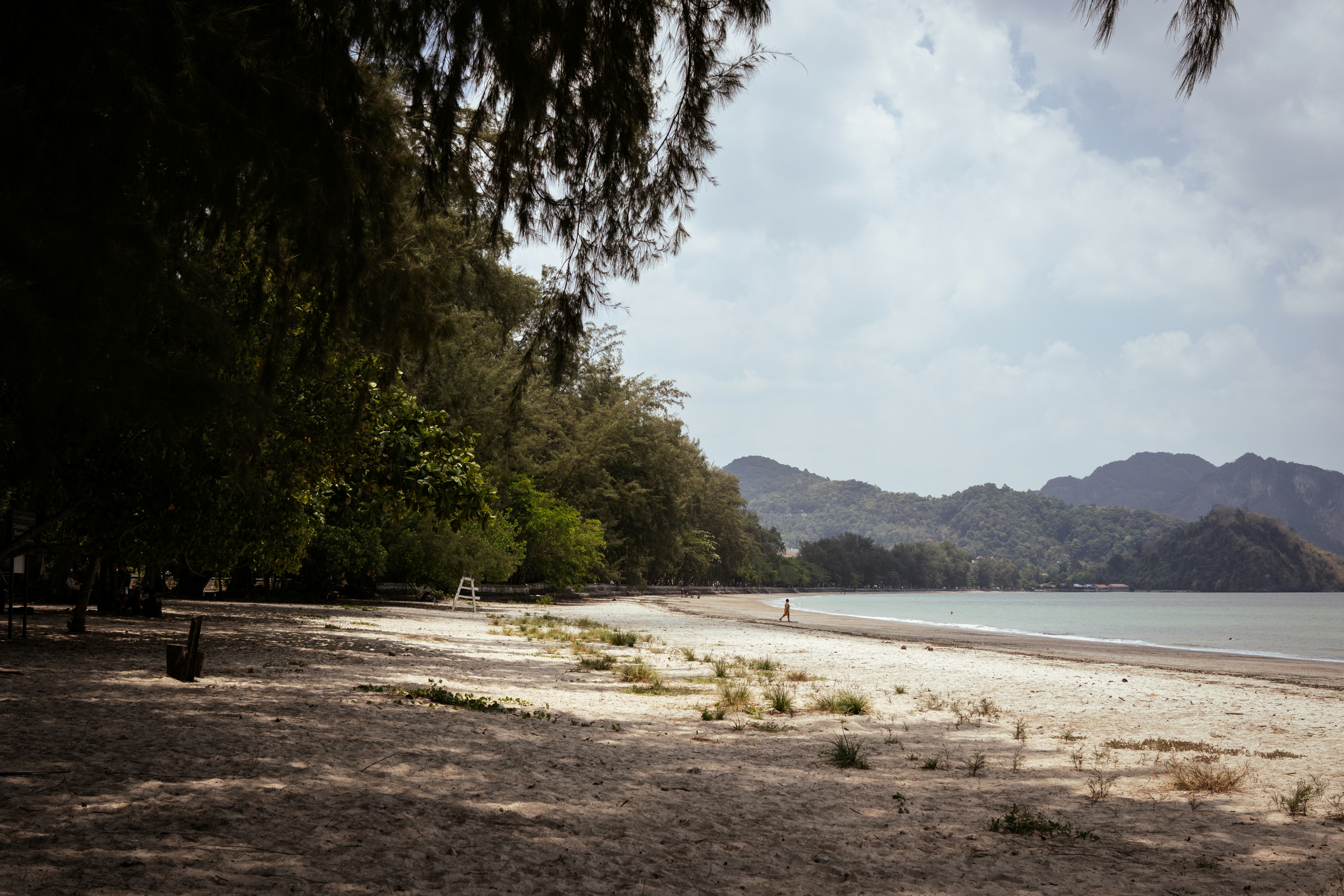 A sandy beach with trees and mountains in the background
