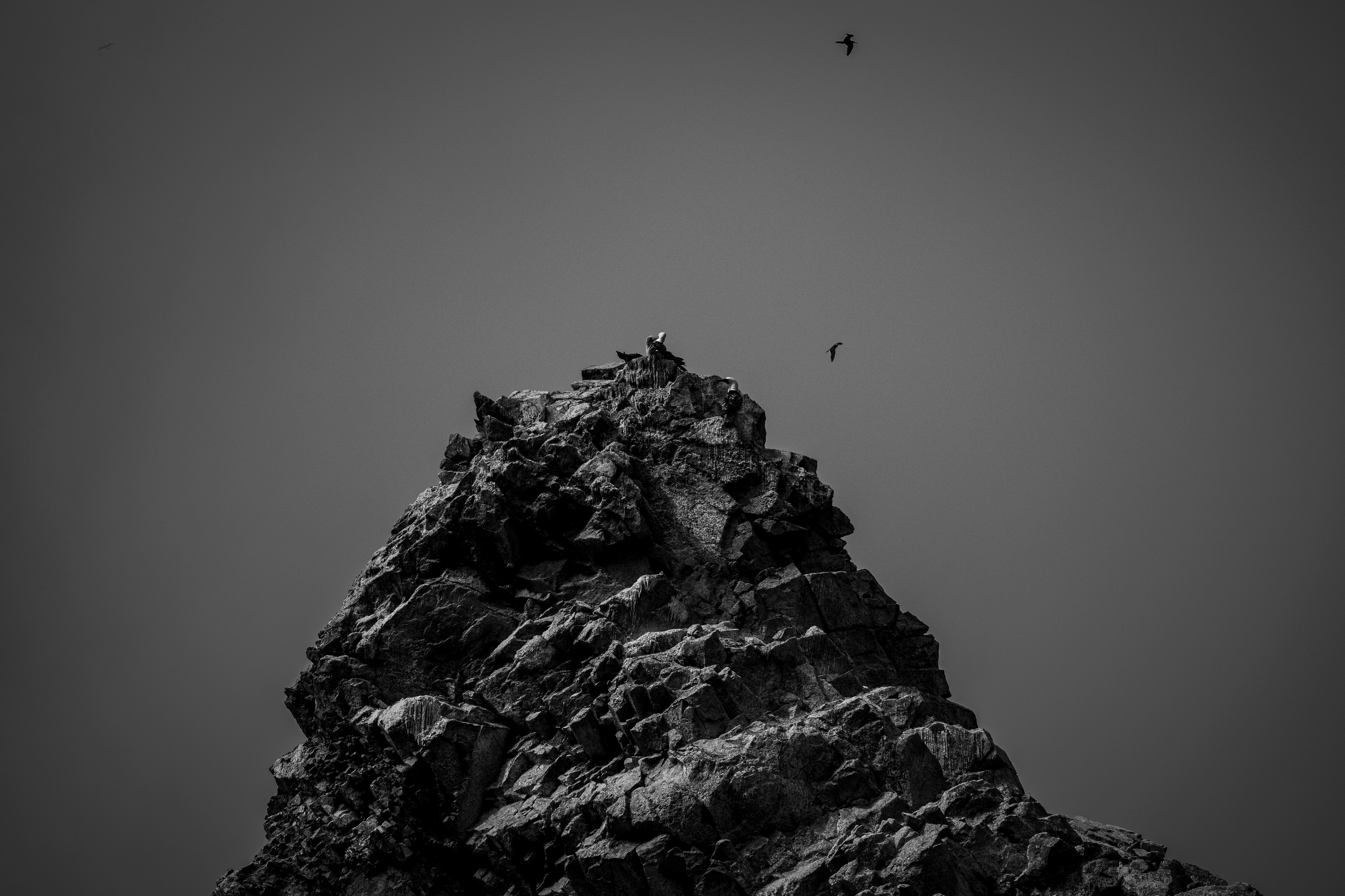 Photo by samtakespictures