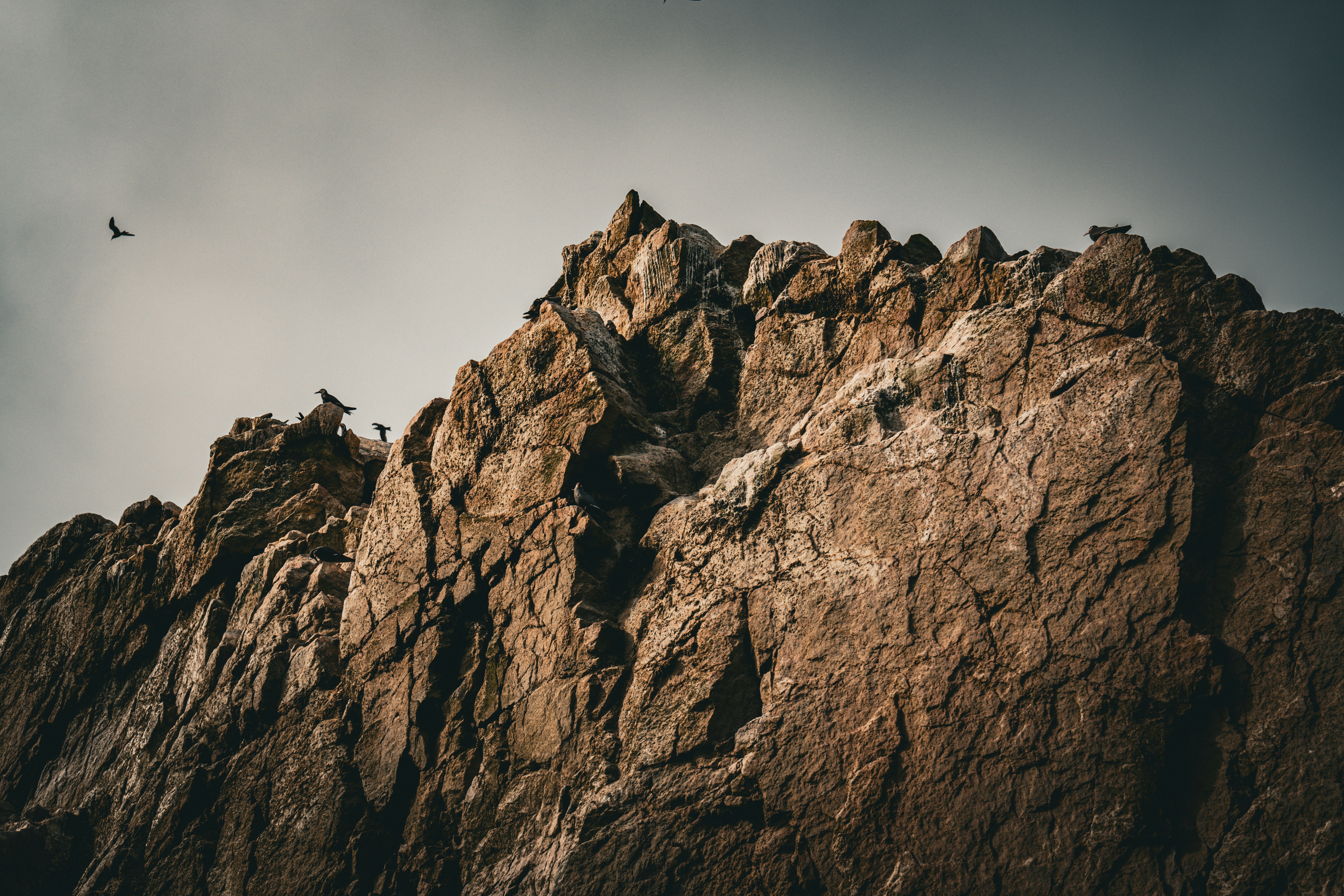 Photo by samtakespictures