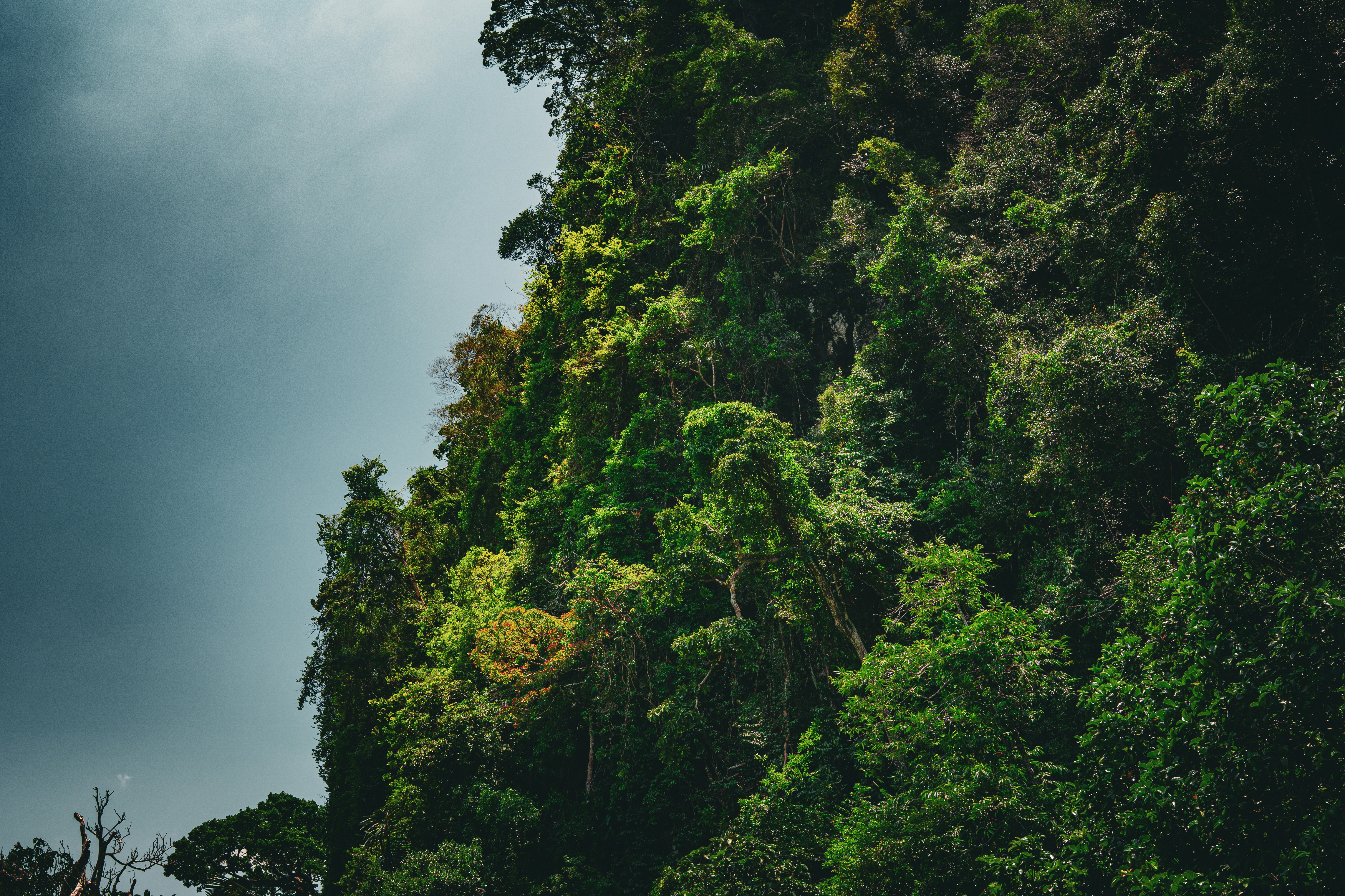 Photo by samtakespictures