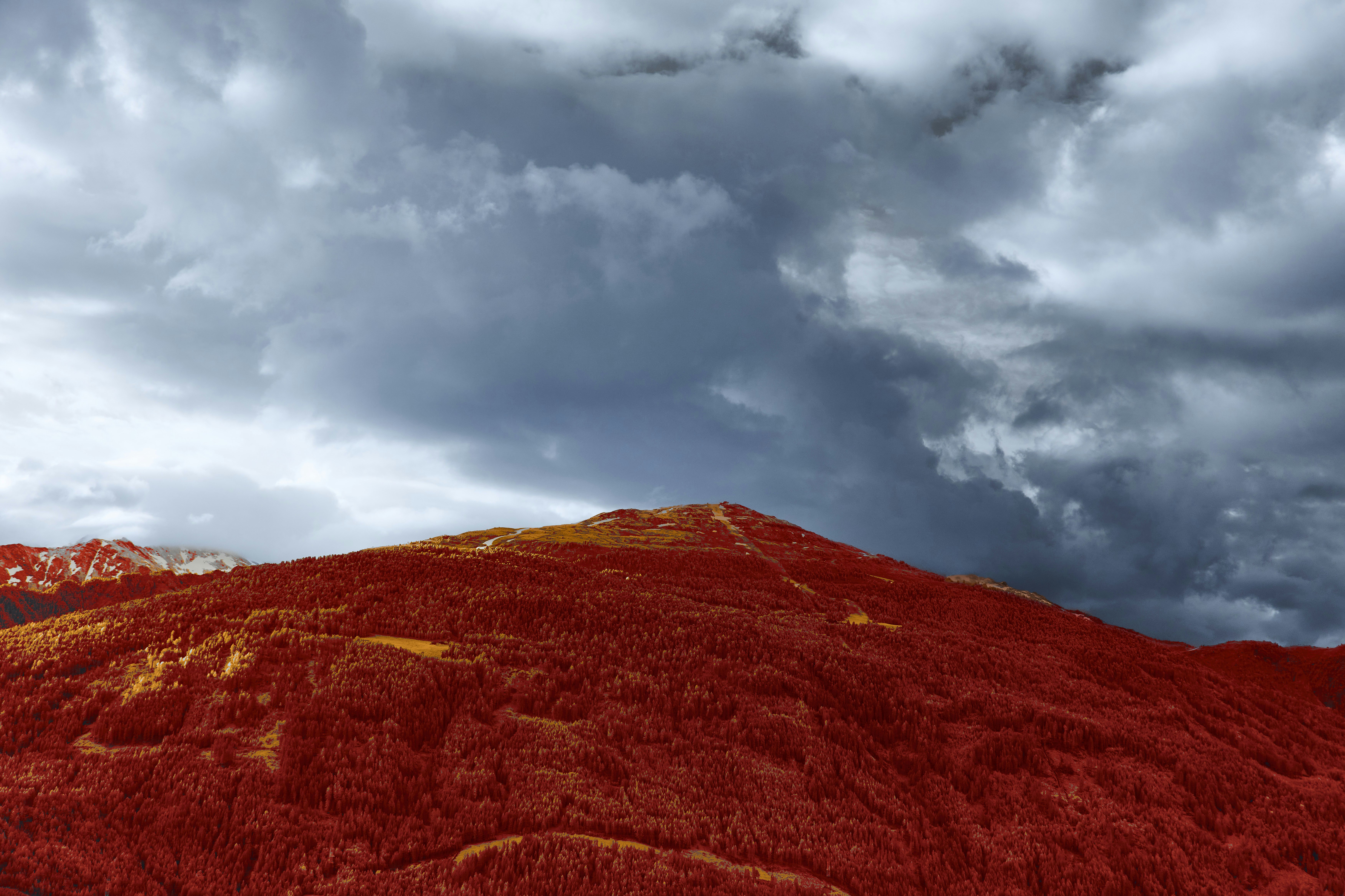 Photo by wolfgang_hasselmann