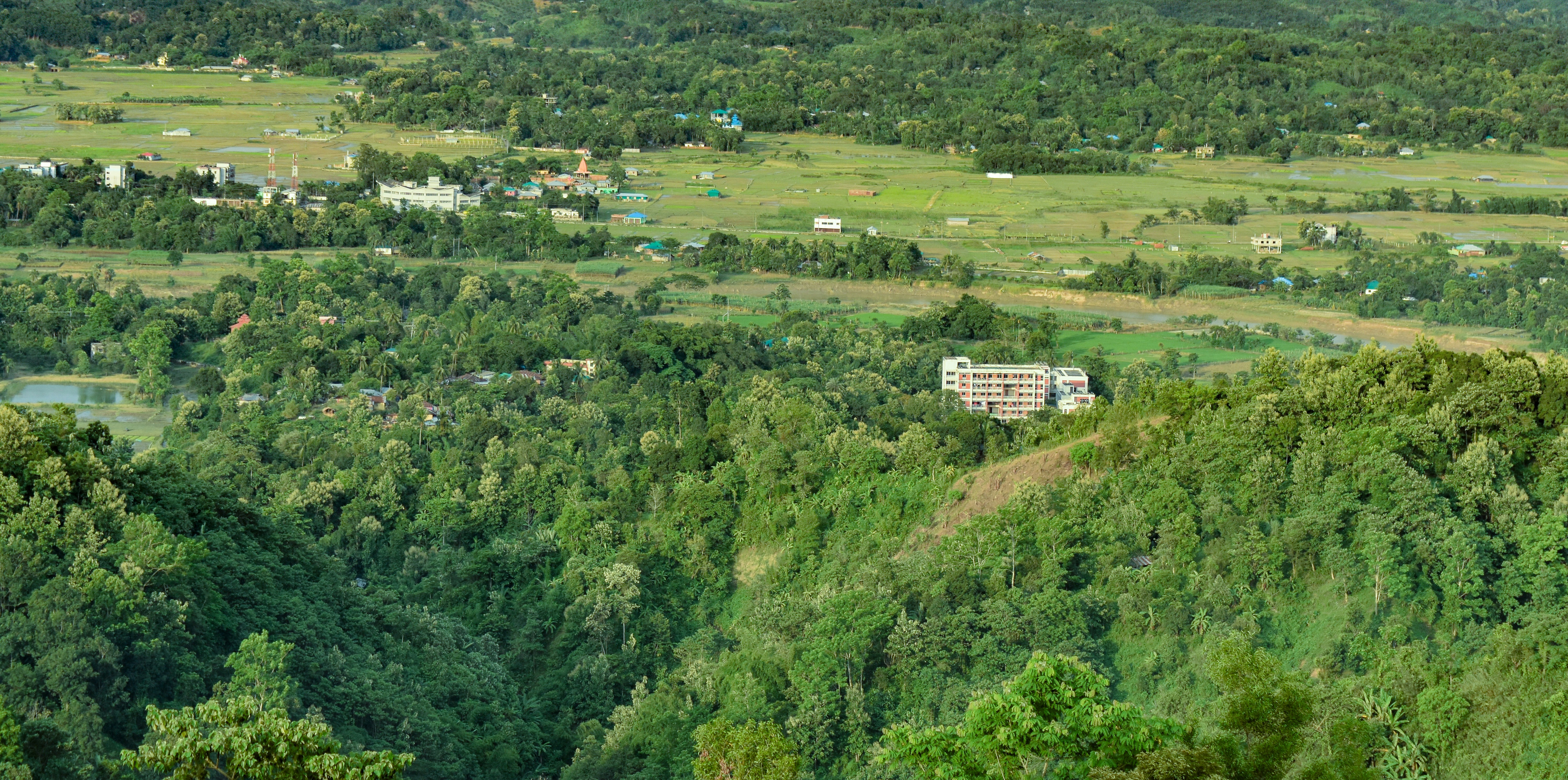 Photo by samiulhaquebhuyan