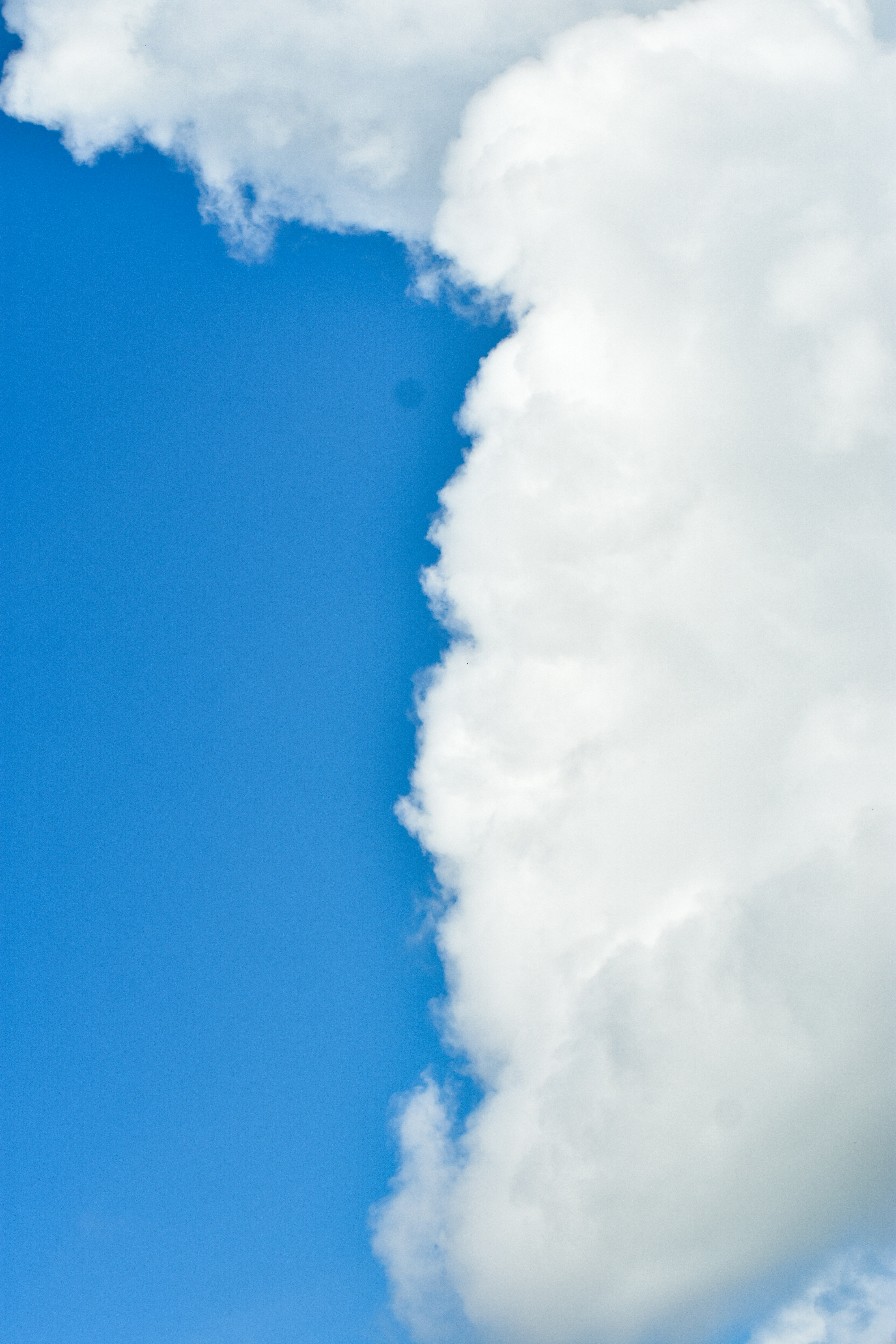 Photo by samiulhaquebhuyan