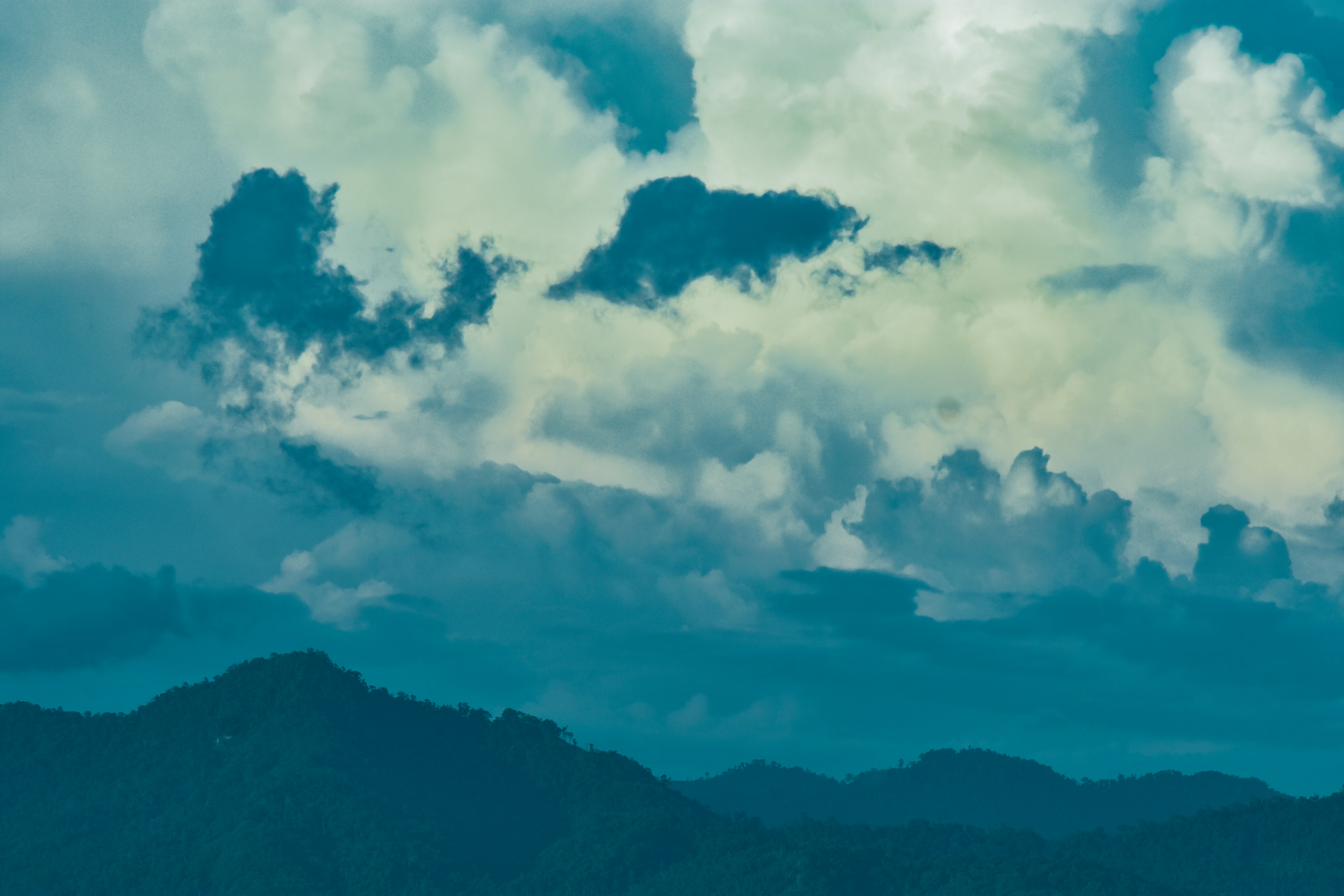 Photo by samiulhaquebhuyan