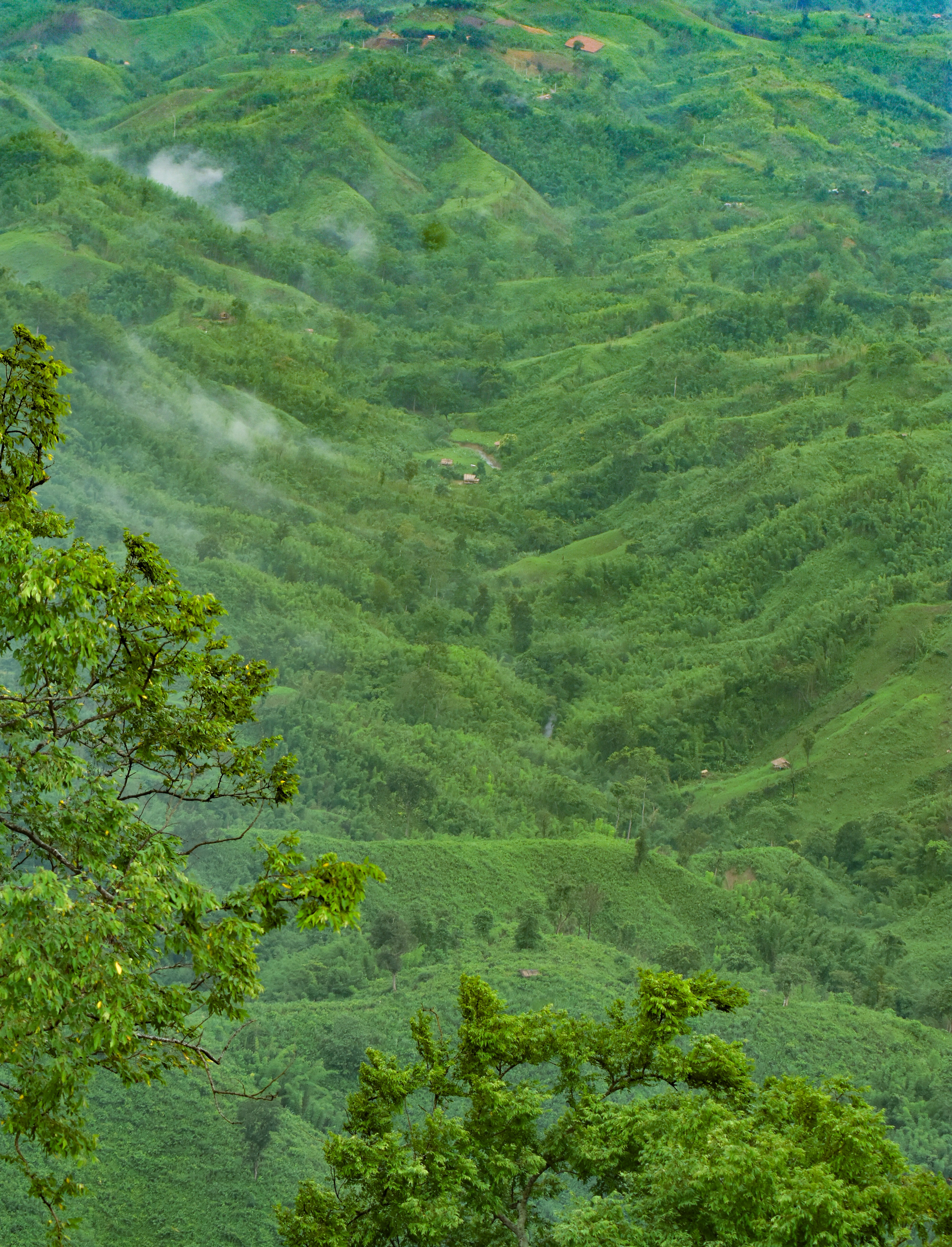 Photo by samiulhaquebhuyan