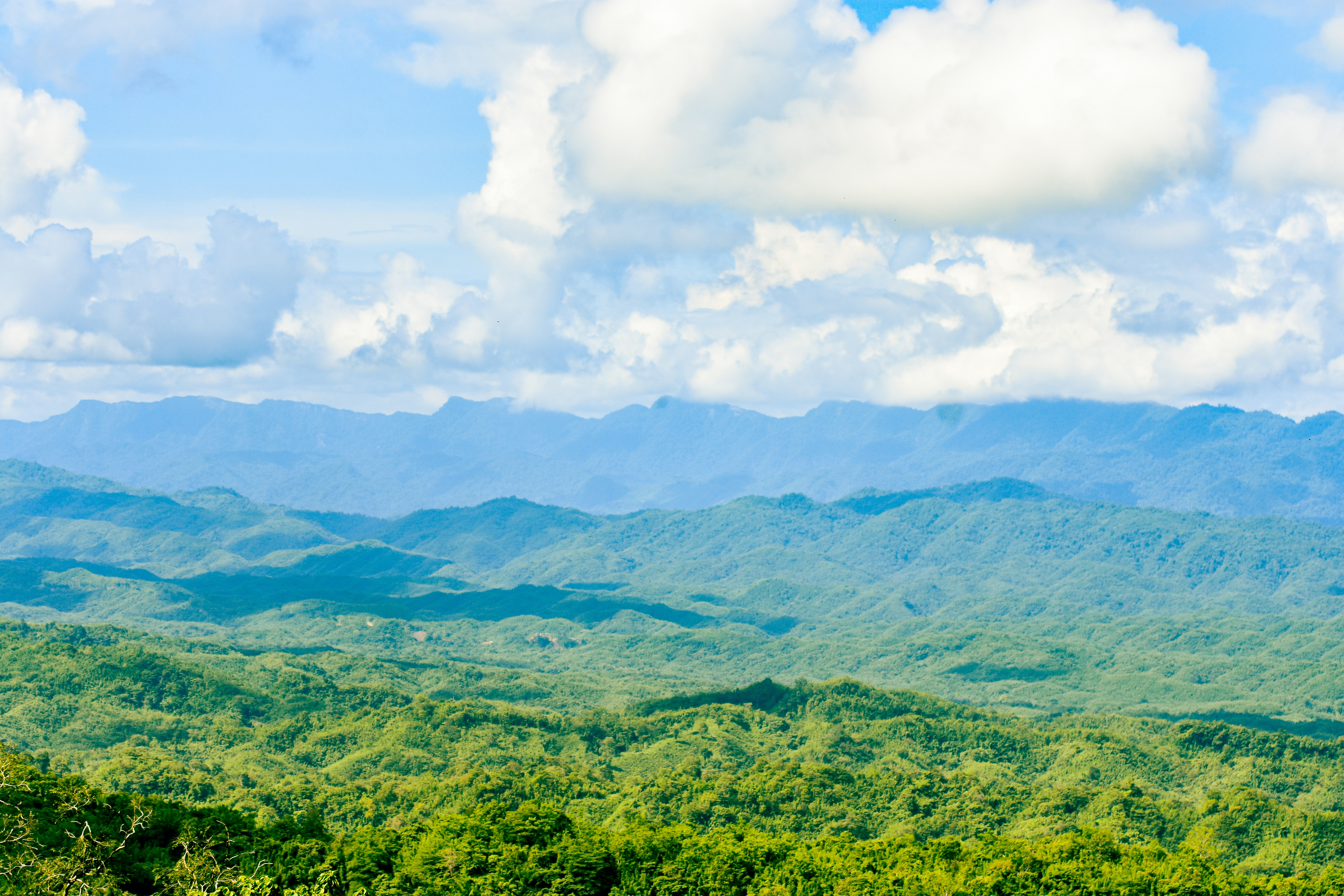 Photo by samiulhaquebhuyan