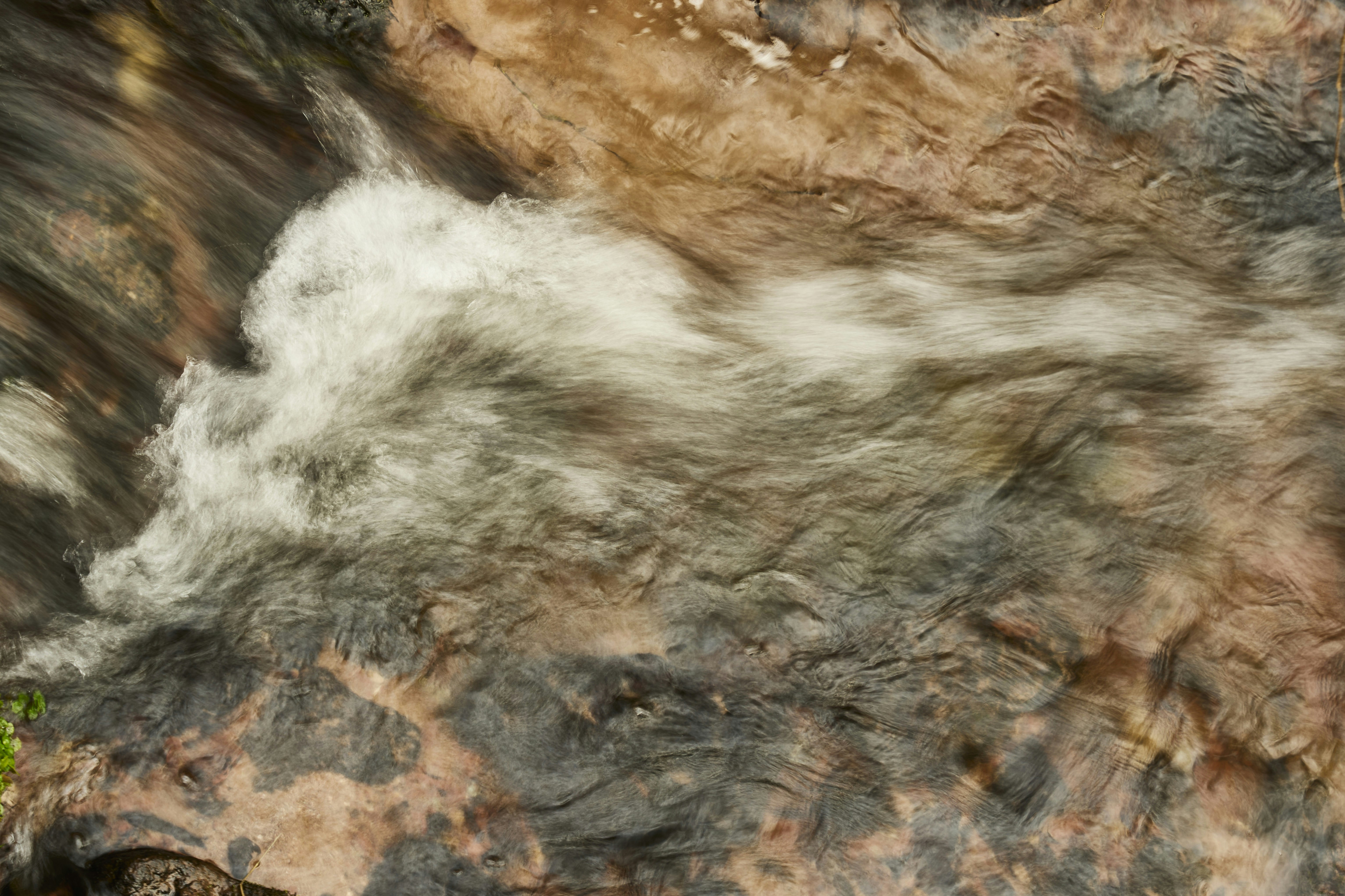 Photo by wolfgang_hasselmann