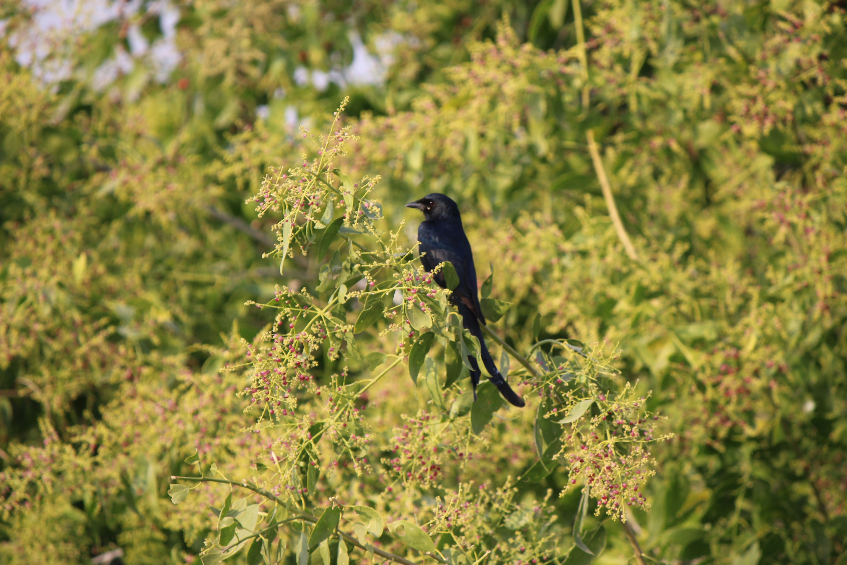 Photo by redszoomout