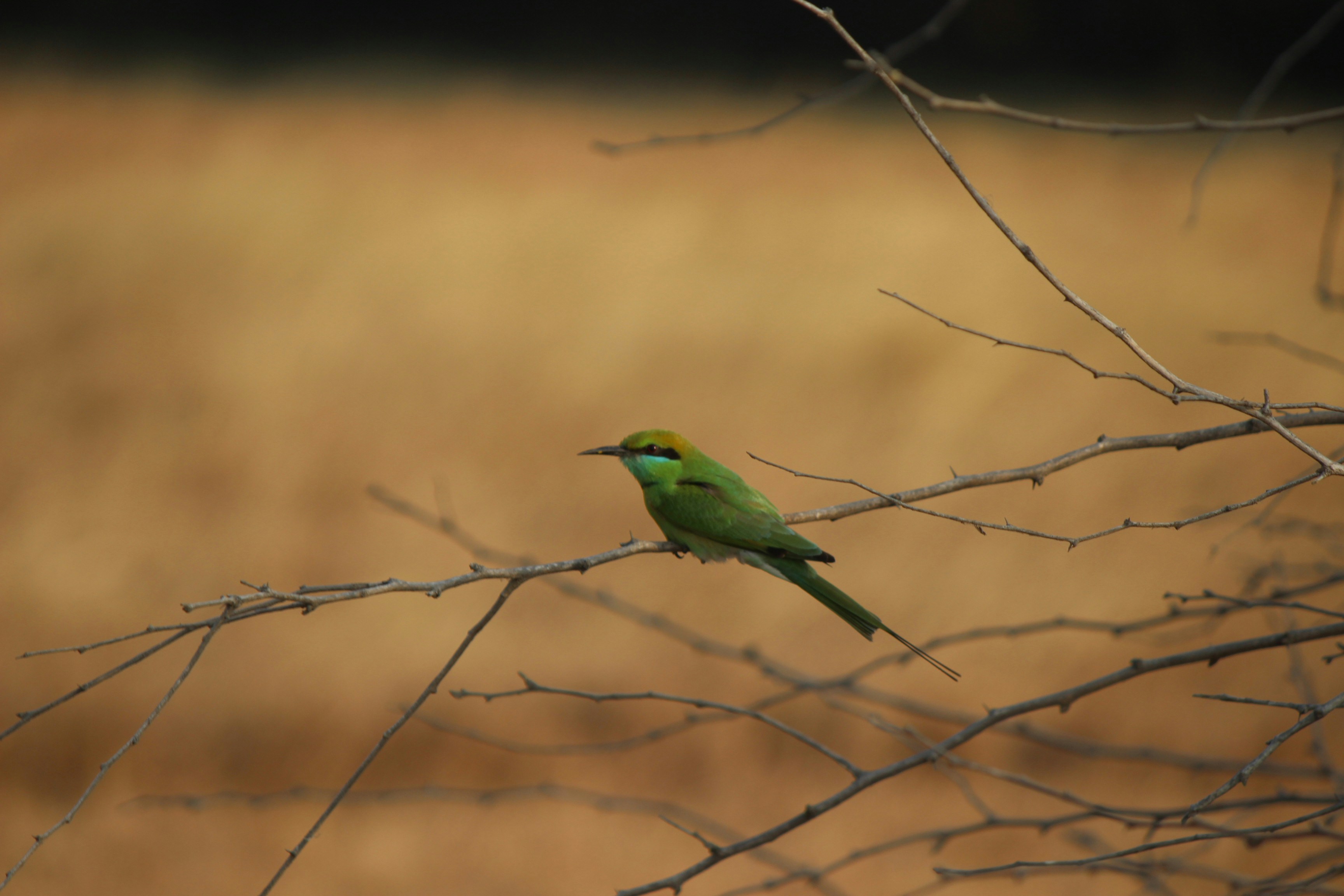 Photo by redszoomout