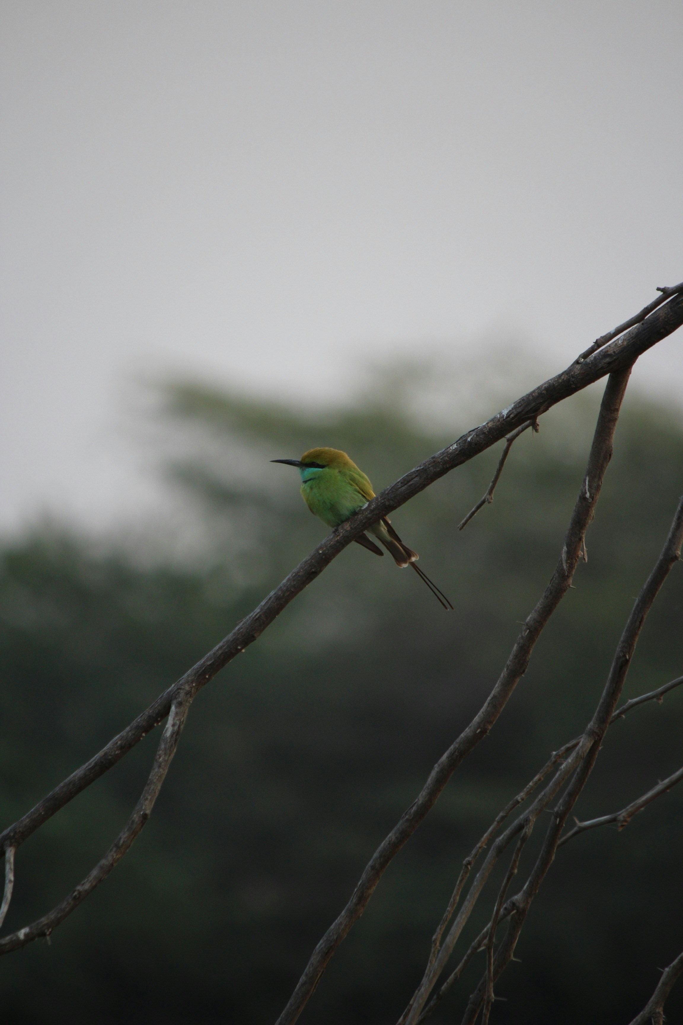 Photo by redszoomout