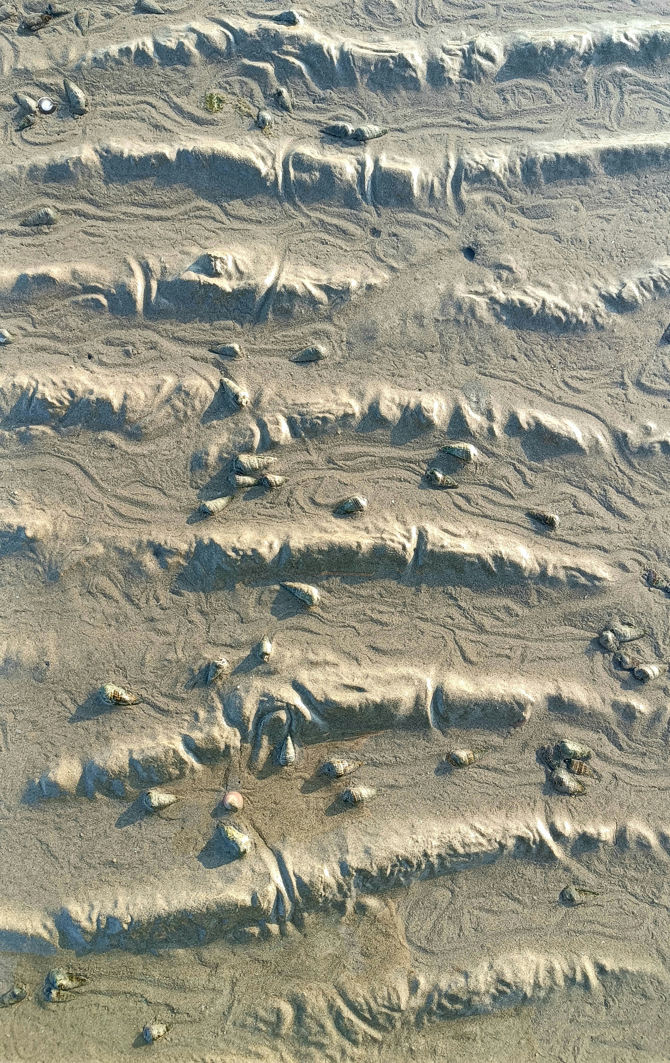 Photo by paris_nature_photo